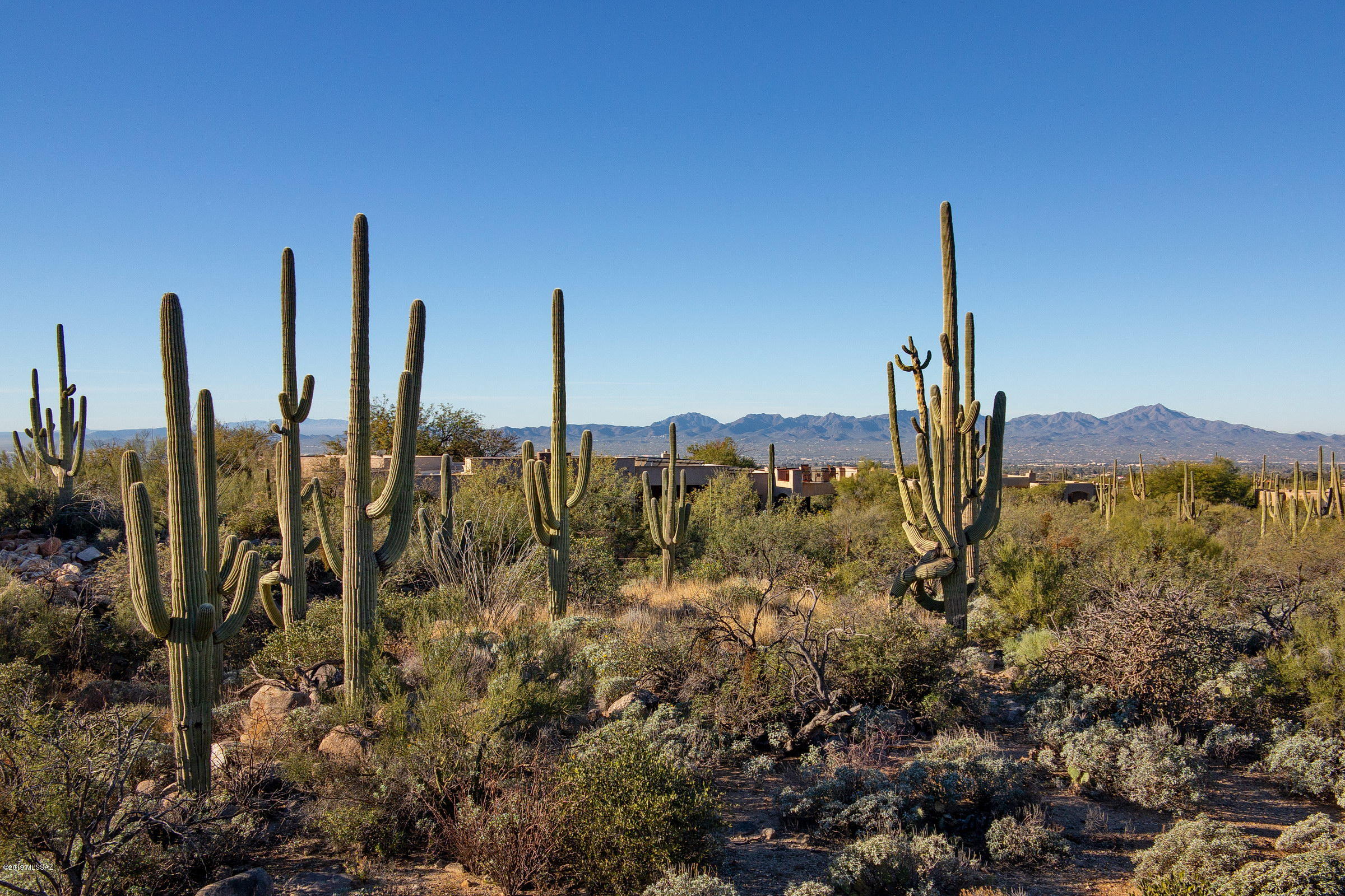 Pima Canyon Estates (30,33,96-102,115,124-127,136-139,147-151,16) - Land