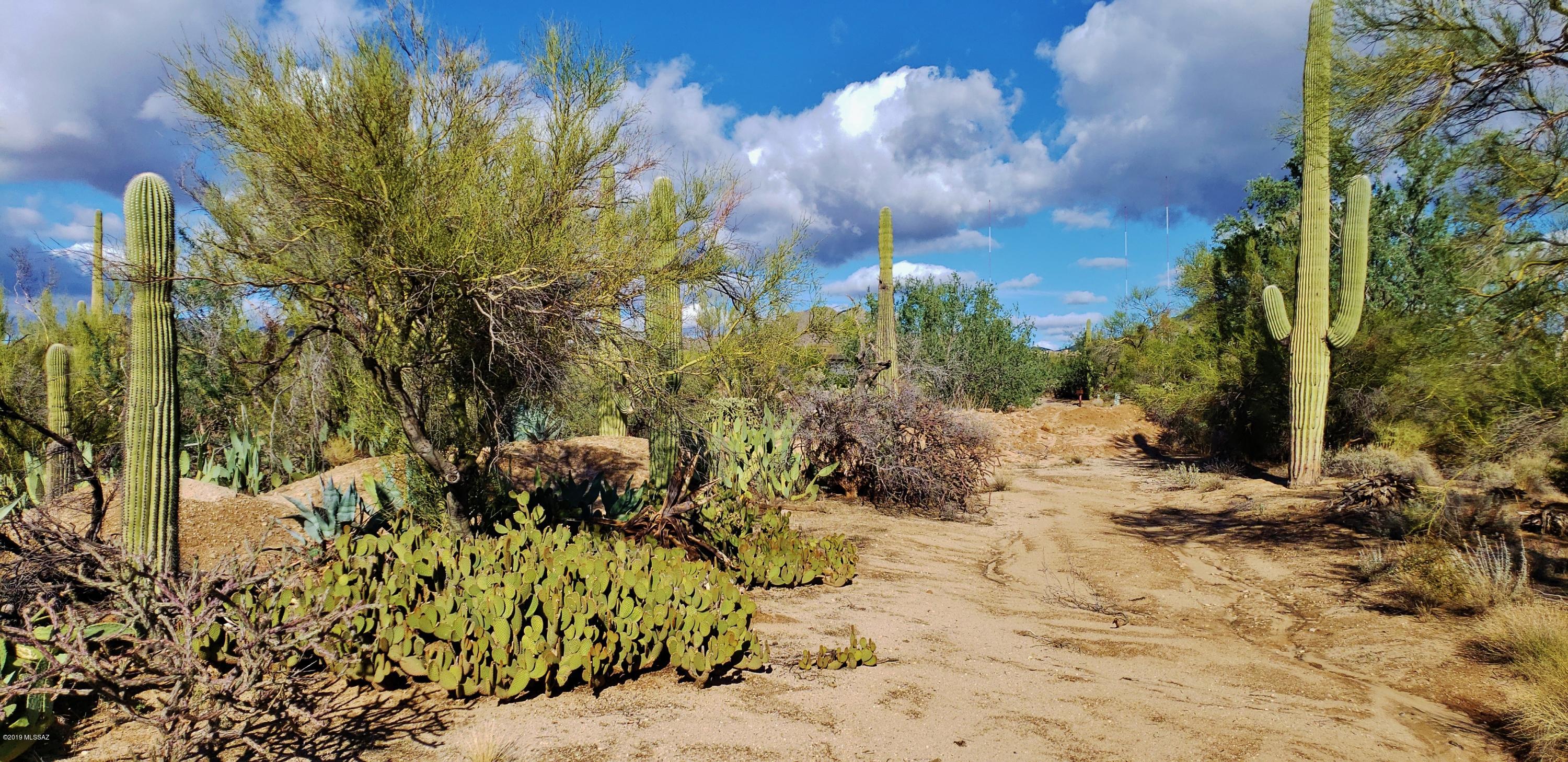 The Estates at Tortolita Preserve is a small, gated community of 25 large lots exclusively for custom homes located in the Dove Mountain area.Lot 24 is the LAST LOT REMAINING. Along the west boundary of the subdivision is Tortolita Preserve. Untouched Sonoran desert land for you and your family to hike. This lot is relatively flat with typical desert plants and trees to aid with concealing your home. All utilities except septic are to each lot. Due to the proximity to the Tortolita Mountains, the lots have some wash activity, but nothing major. Most weekly daylight hours, the electronic gate remains open otherwise, a gate code is required to gain access.