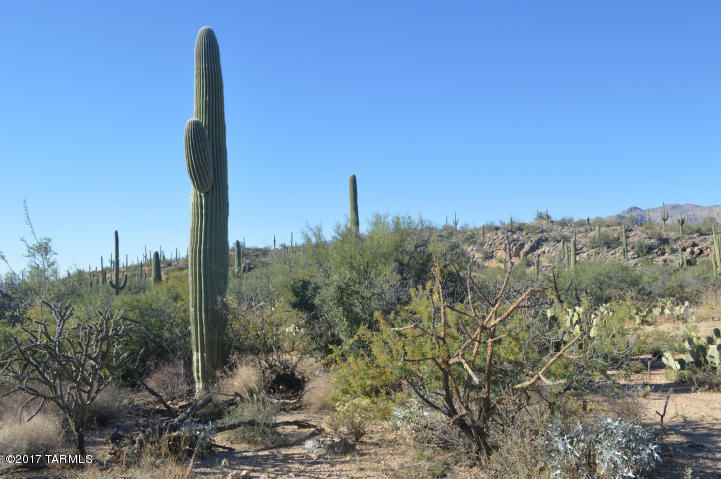Palo Verde Ranch - Land