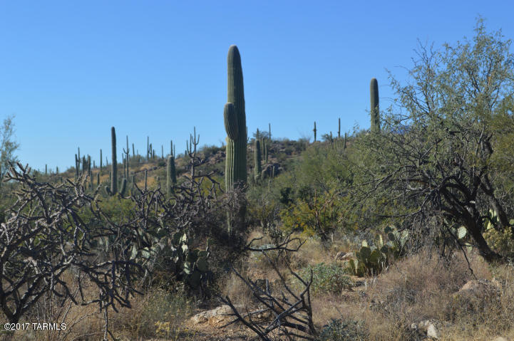 Palo Verde Ranch - Land