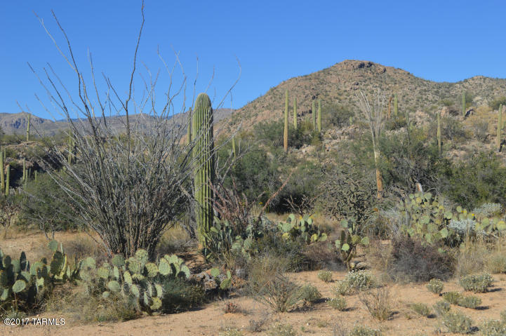 Palo Verde Ranch - Land