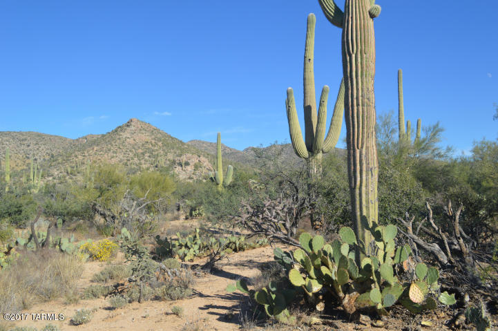 What could be more dreamy than star gazing in the desert?  This fabulous Palo Verde Ranch lot will not disappoint.  This is a prime lot within walking distance of Agua Caliente Trailhead.  Gorgeous views await your dream home.  Come take a tour for yourself!  This lot is an open palate with both city and mountain views awaiting the perfect owner for their perfect dream home!