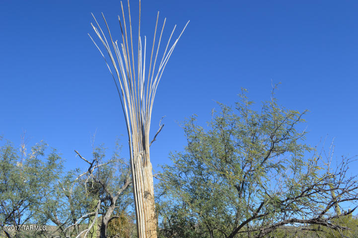 Palo Verde Ranch - Land
