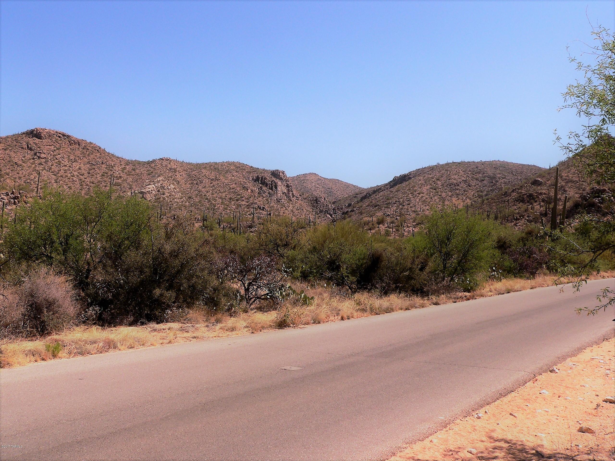 Palo Verde Ranch - Land