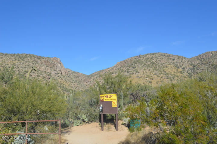 Palo Verde Ranch - Land