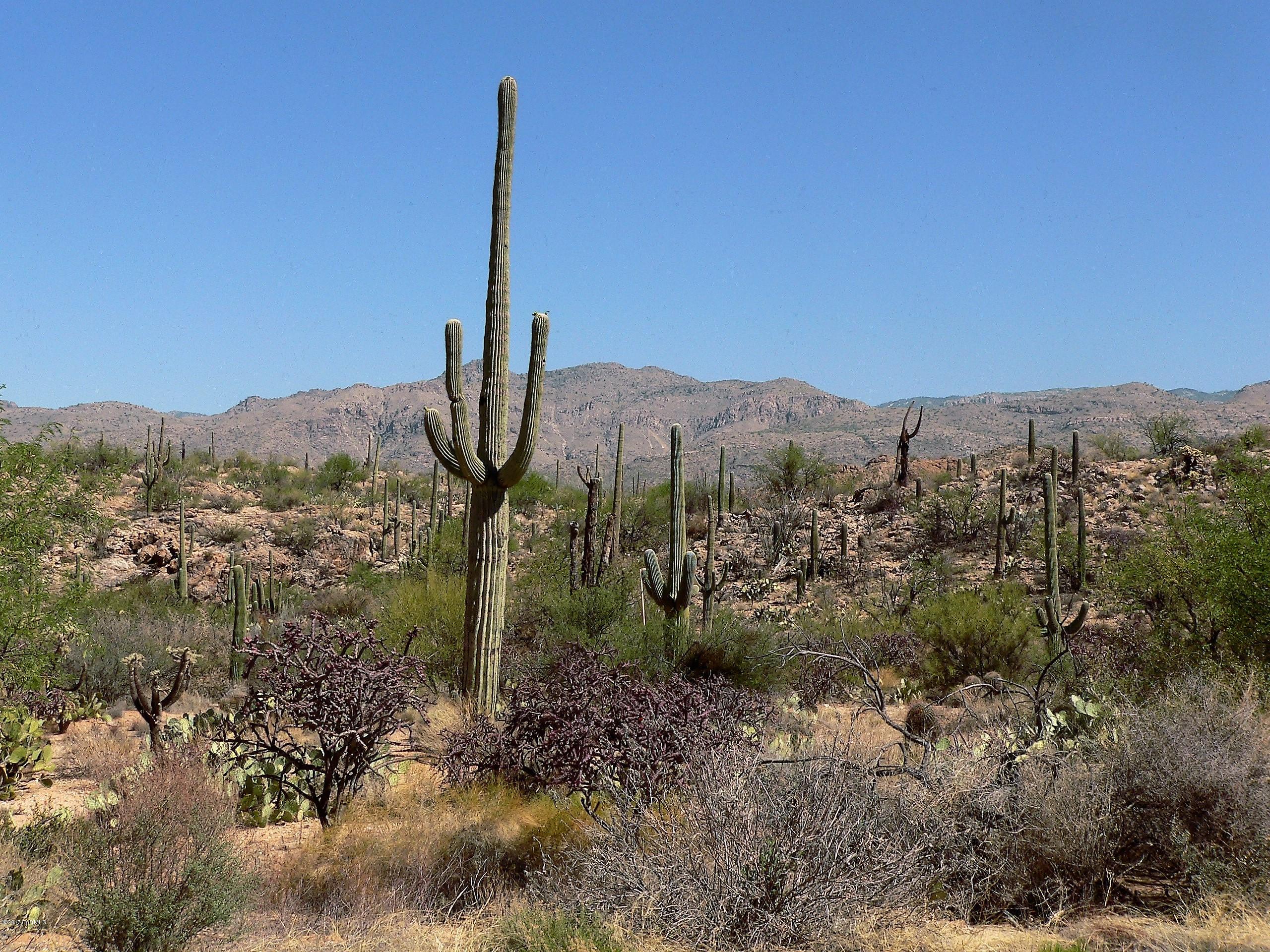 Palo Verde Ranch - Land