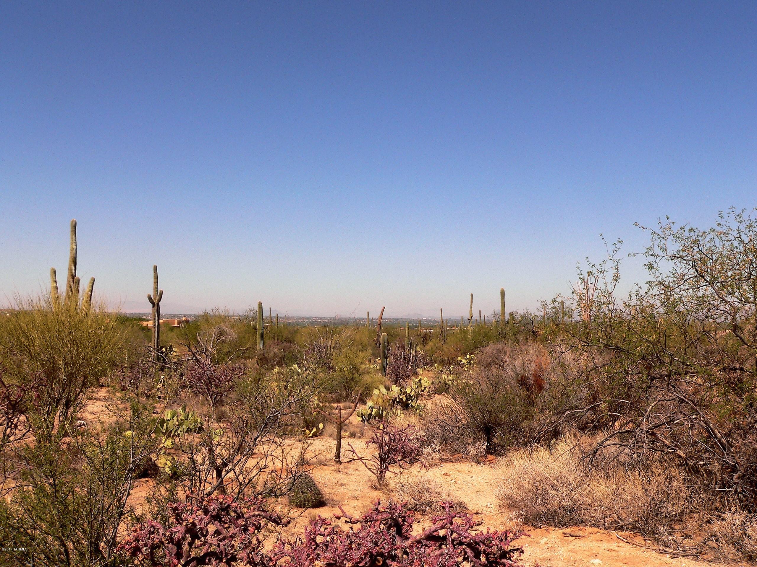 Palo Verde Ranch - Land