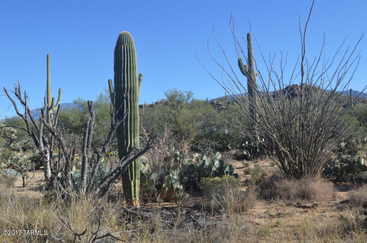 Palo Verde Ranch - Land