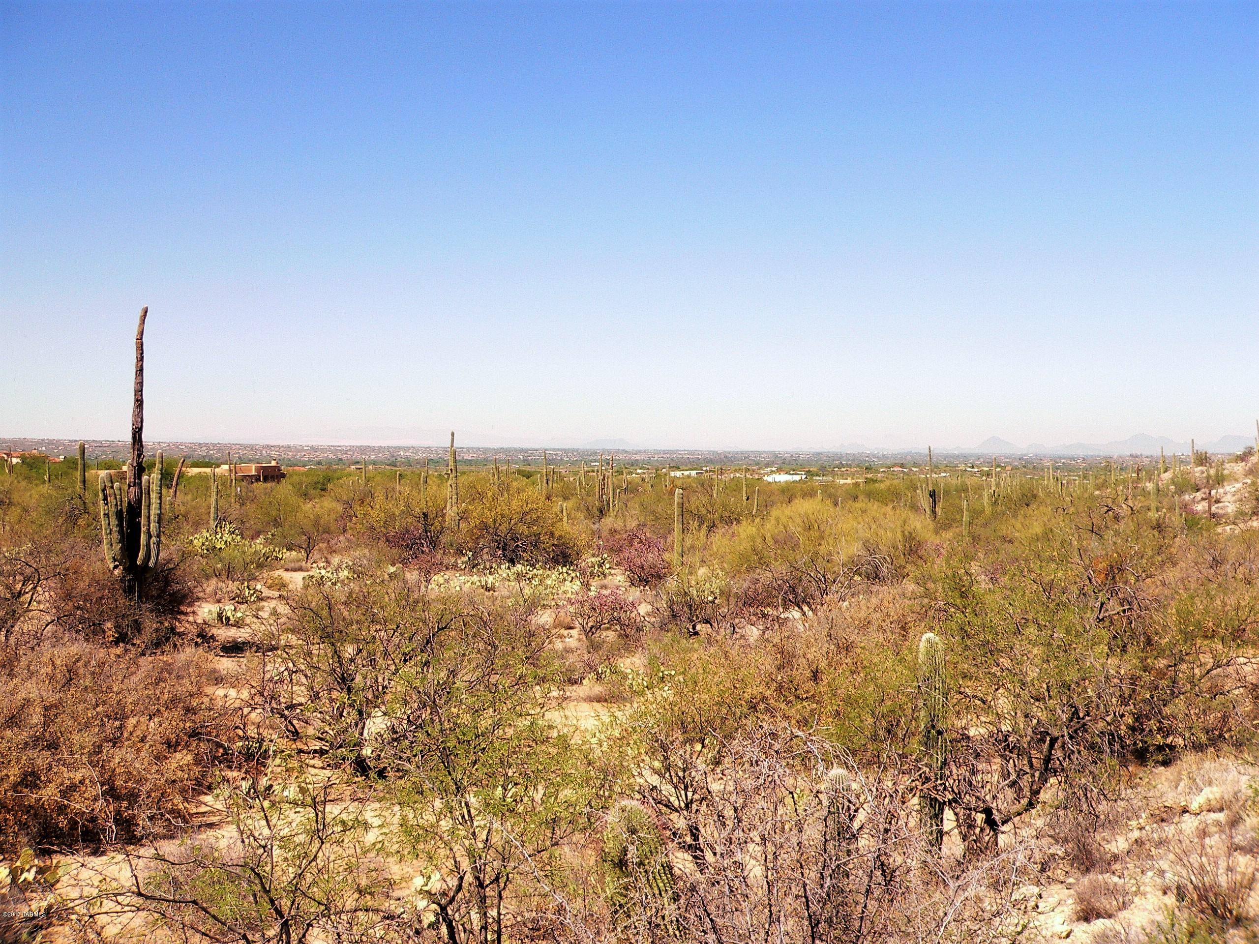 Palo Verde Ranch - Land