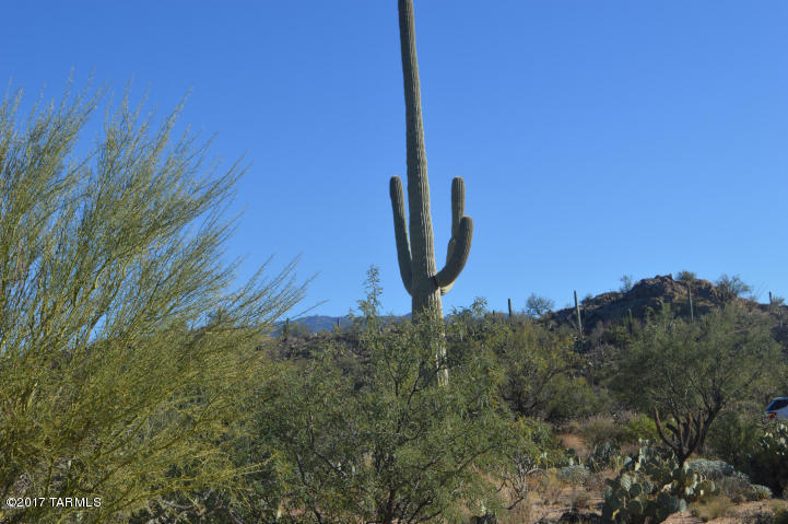 Palo Verde Ranch - Land