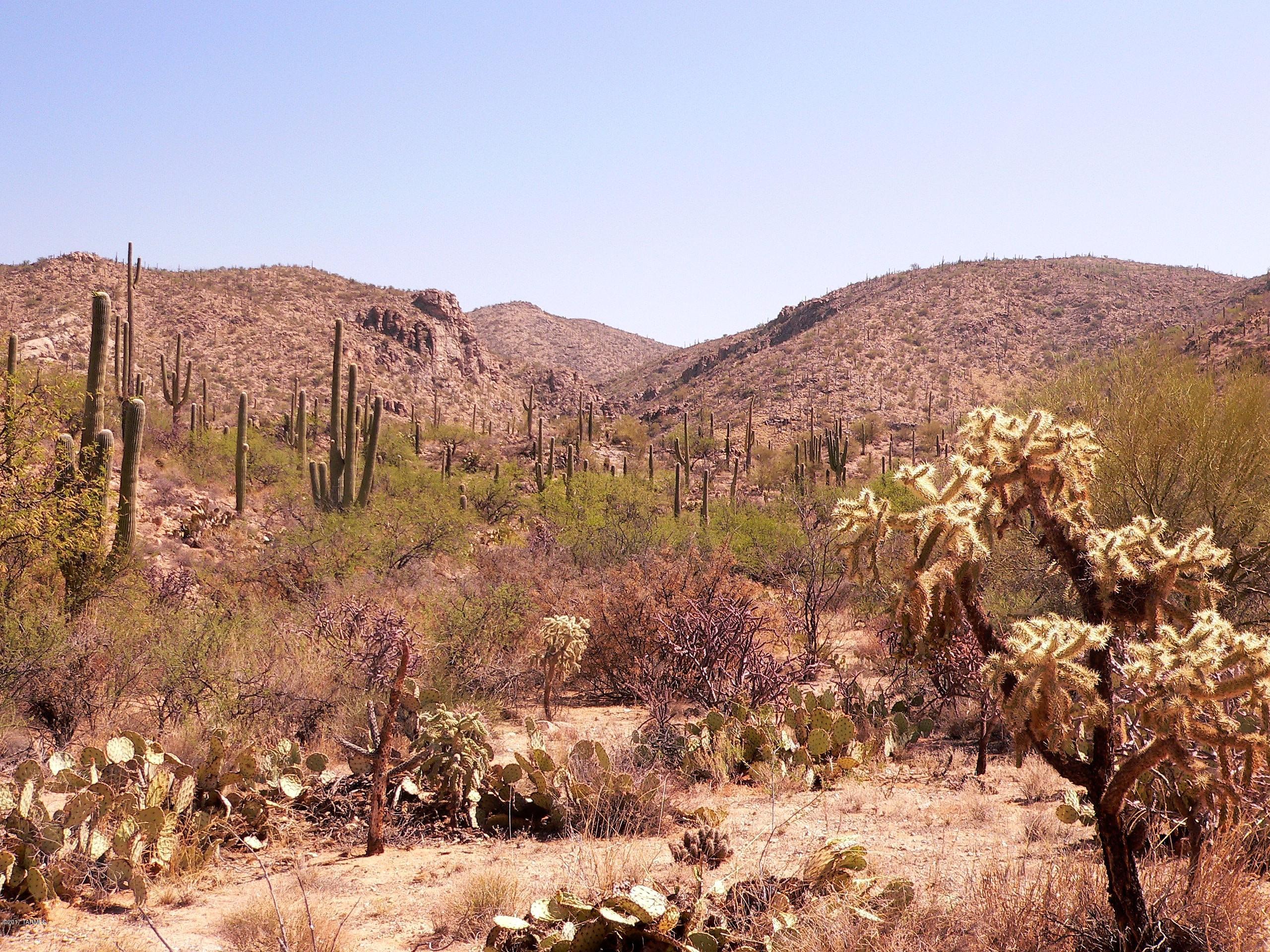 Palo Verde Ranch - Land