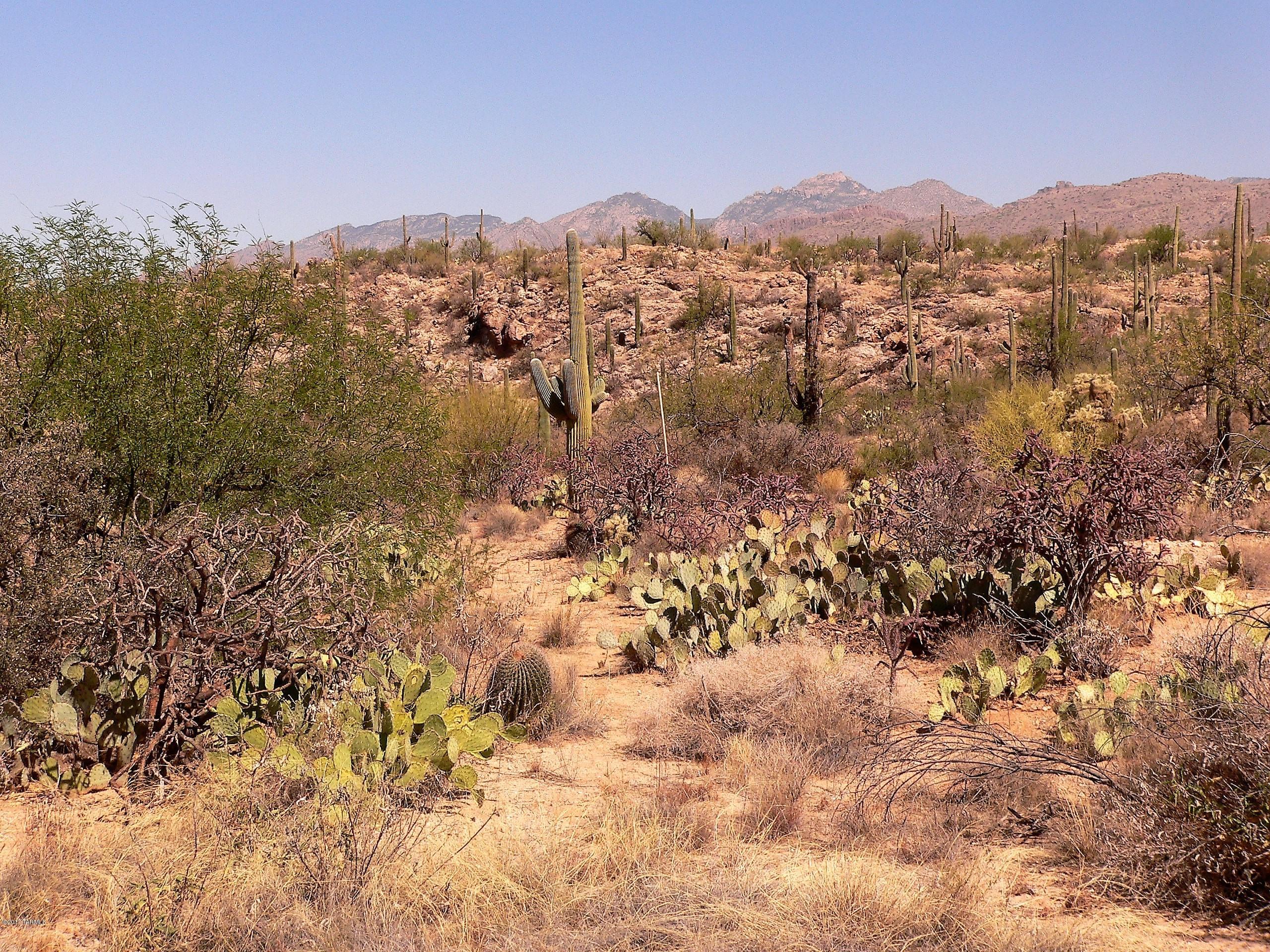 Palo Verde Ranch - Land