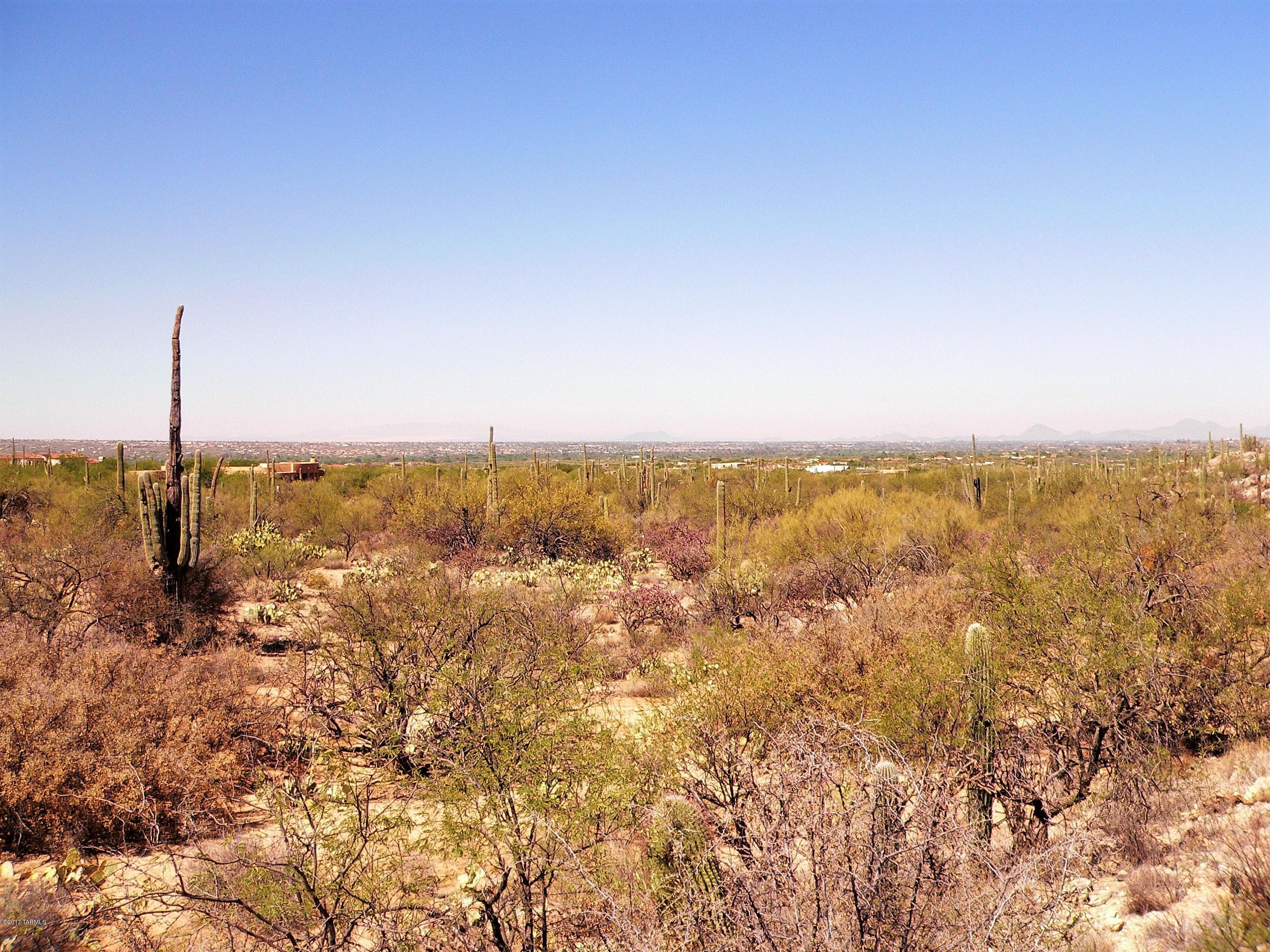 Palo Verde Ranch - Land