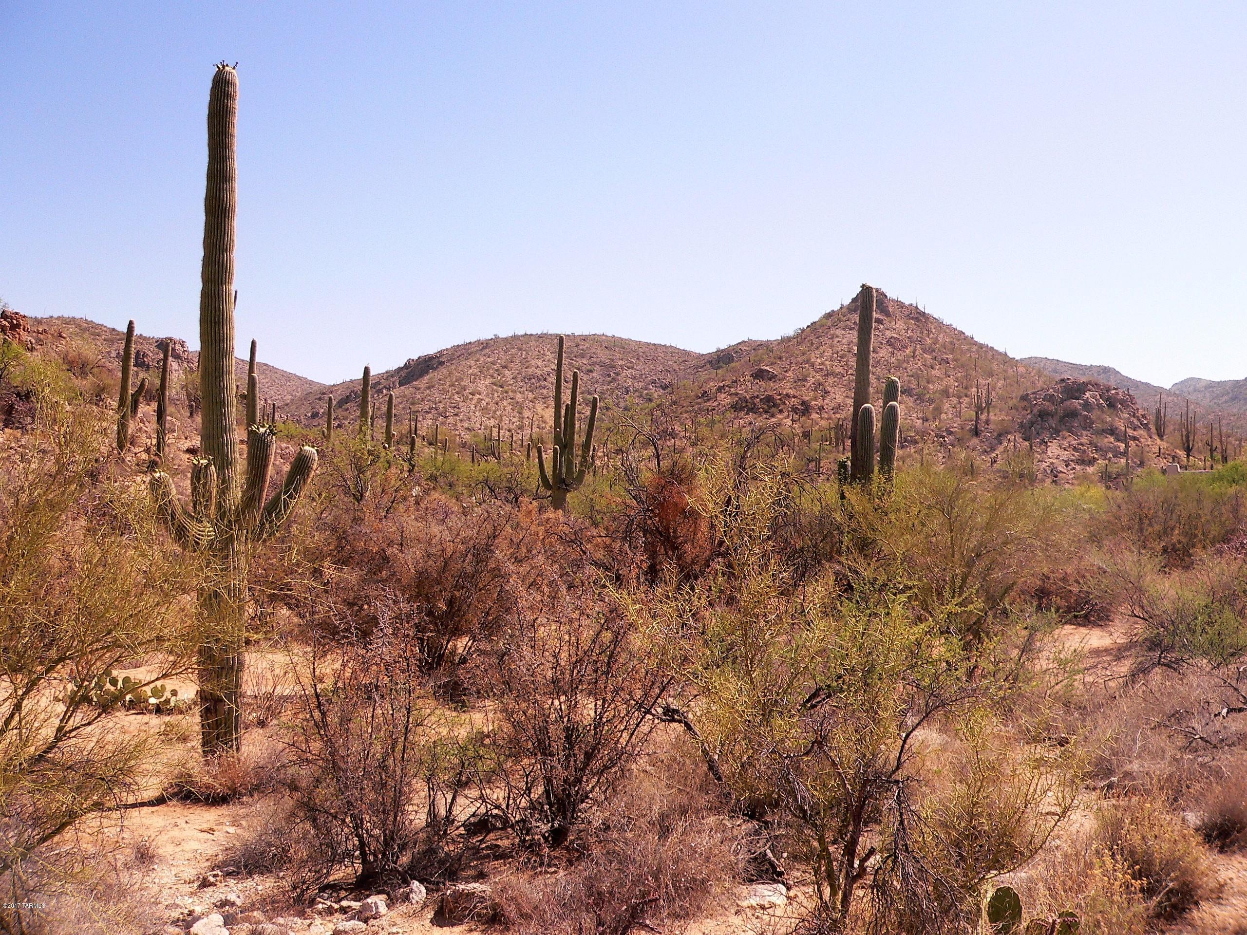 Palo Verde Ranch - Land
