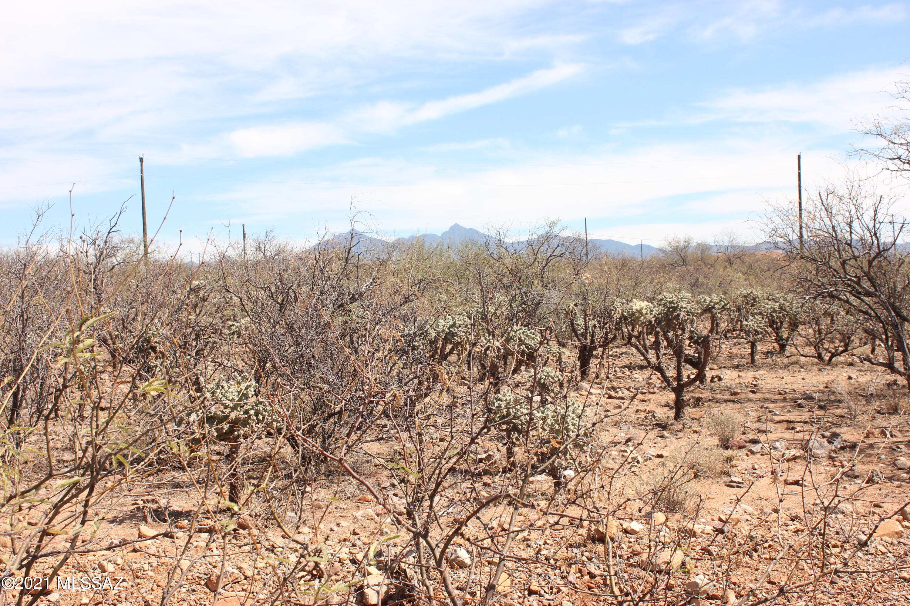 Rio Rico Villas 11 - Land