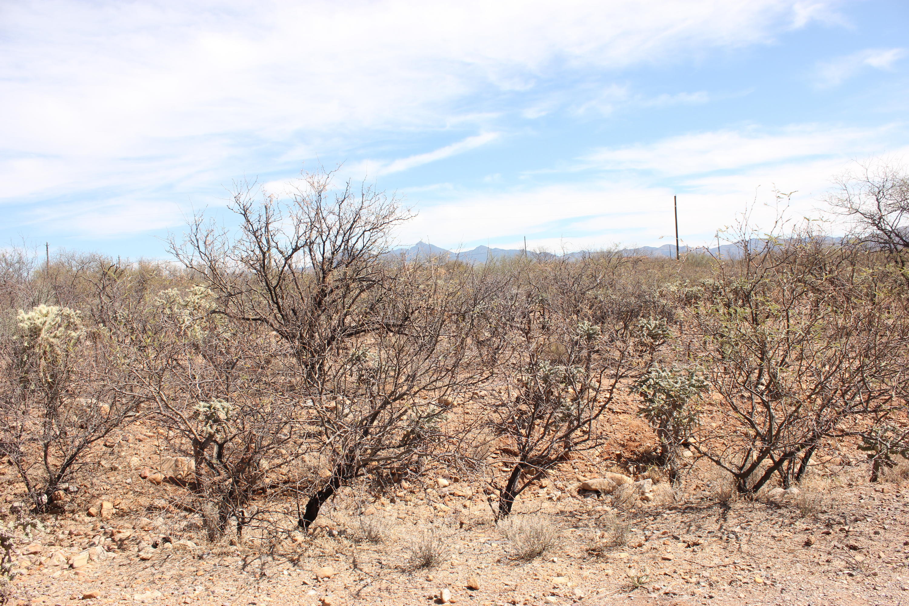 Rio Rico Villas 11 - Land
