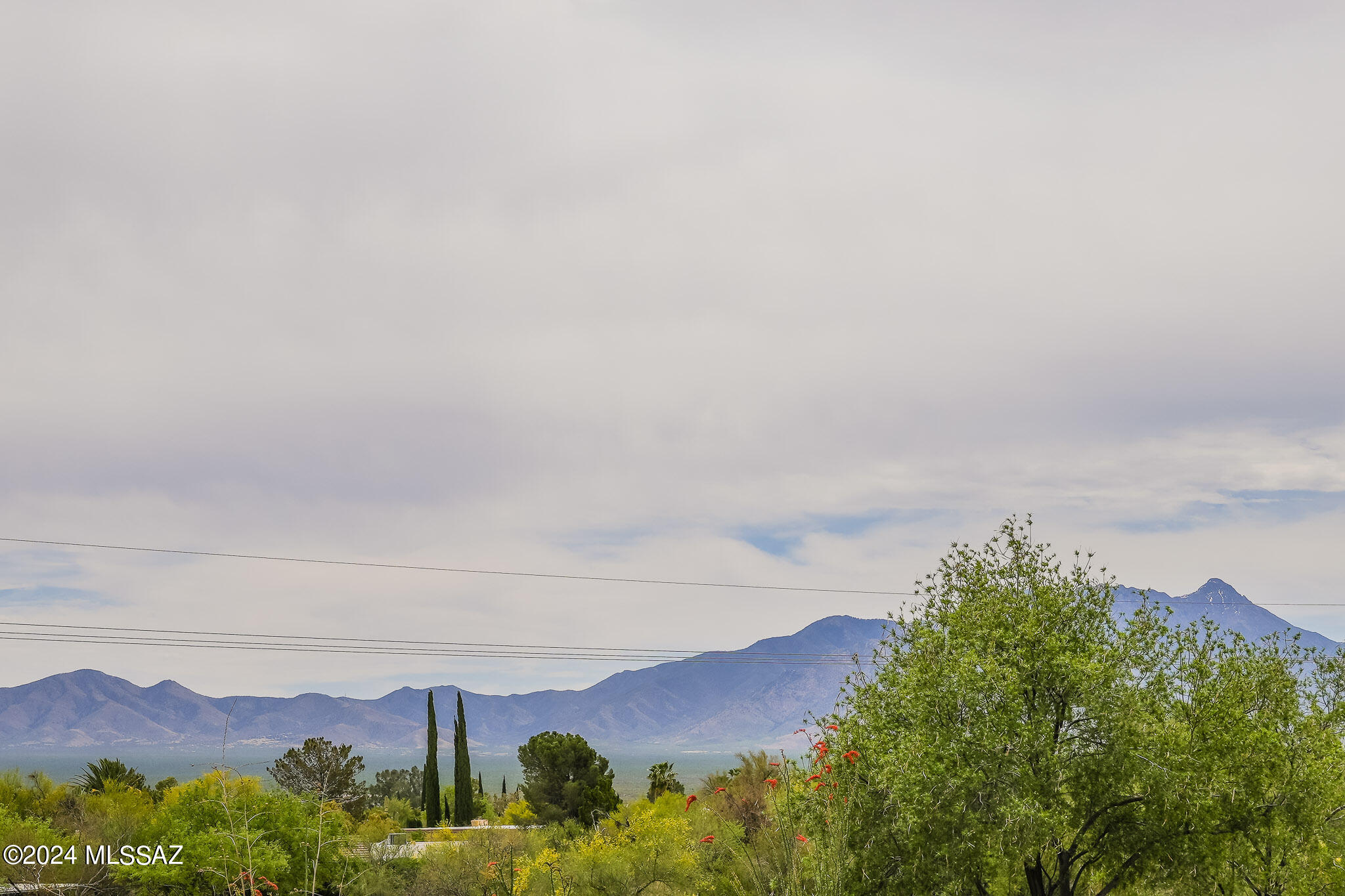 Colonia De Los Alamos - Villages - Residential