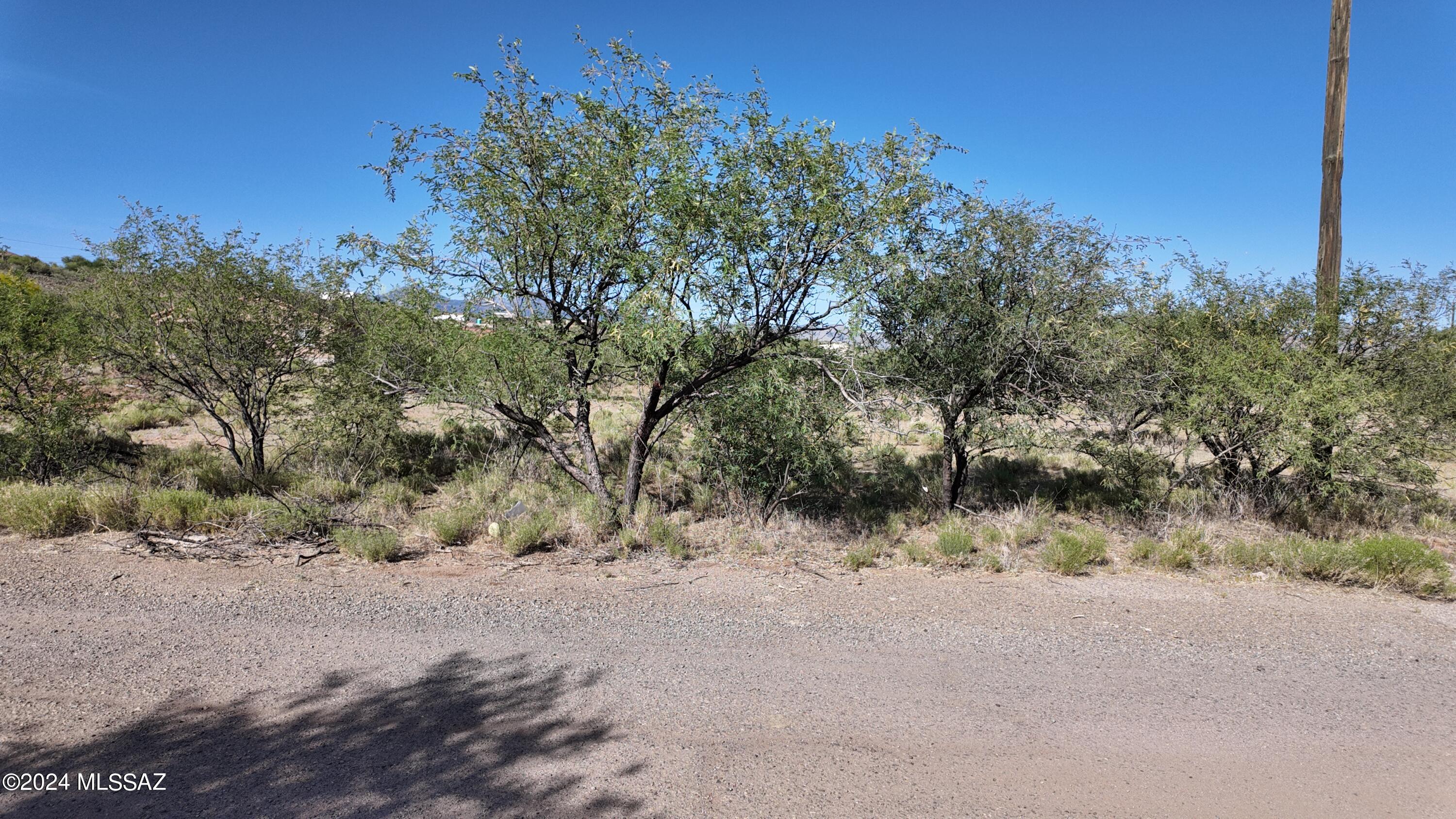 Rio Rico Villas 12 - Land