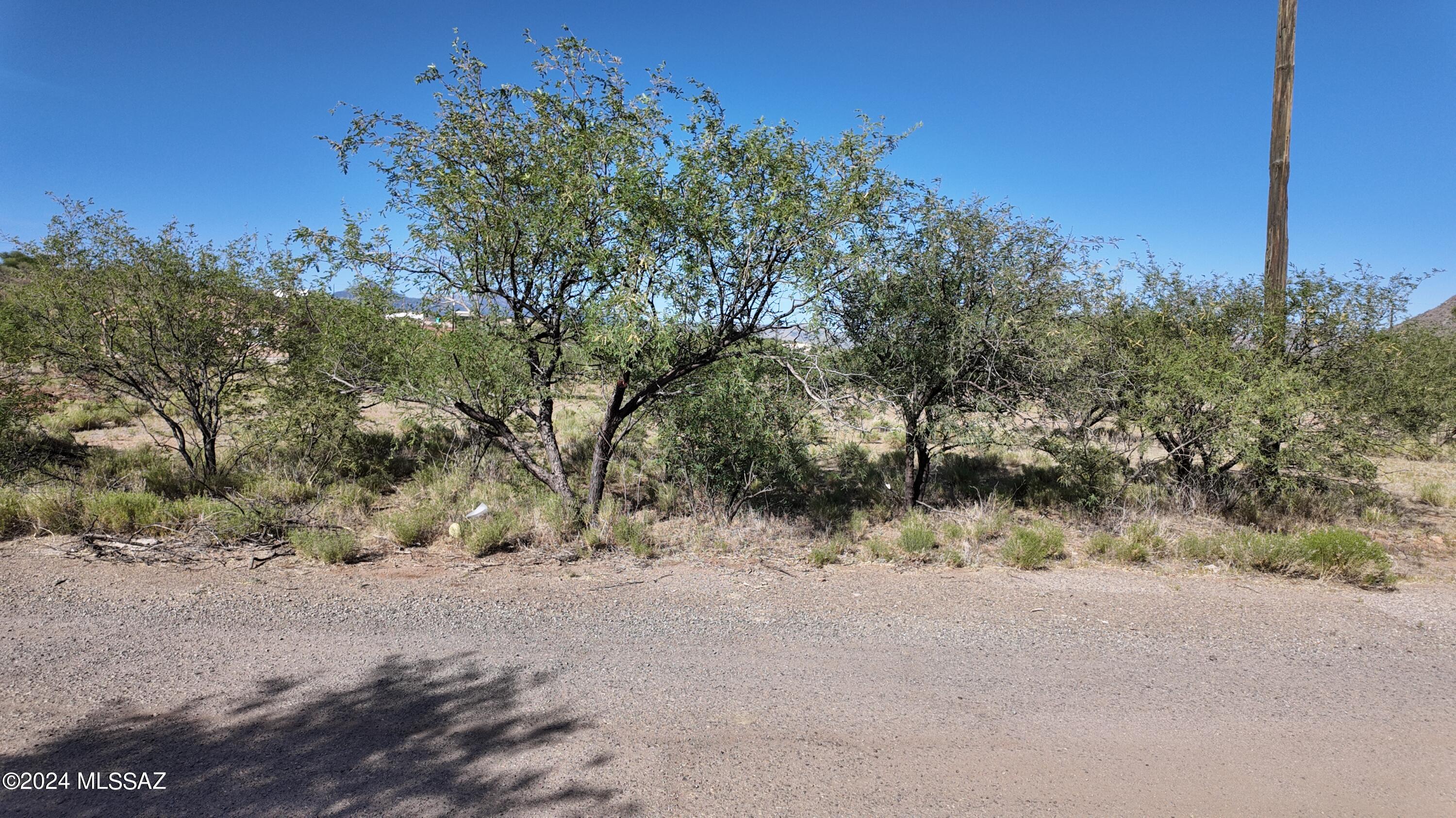 Rio Rico Villas 12 - Land