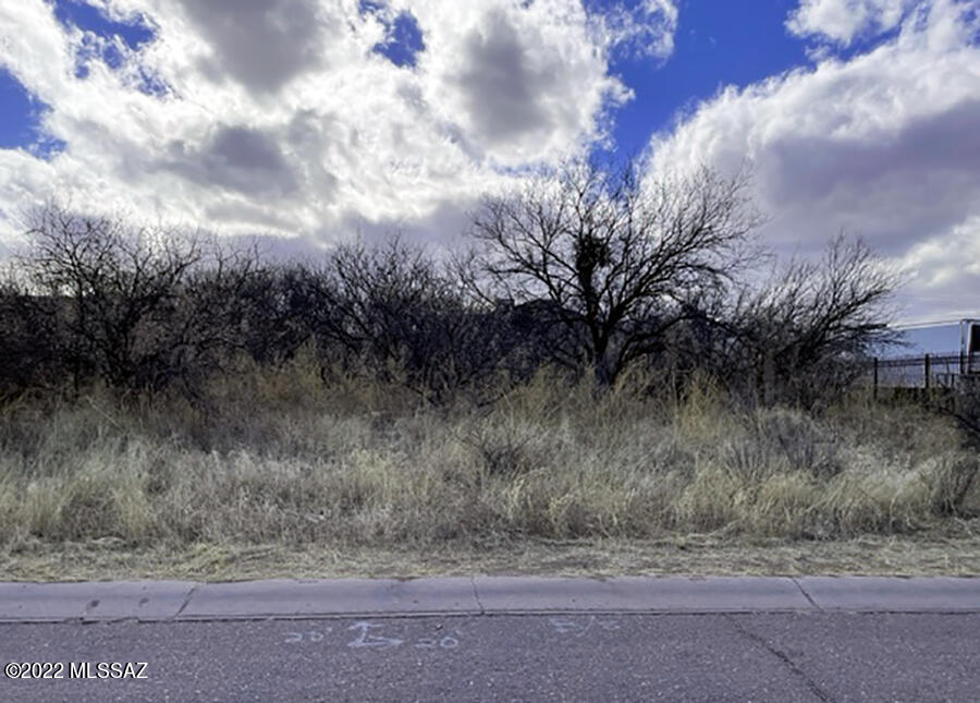 Rio Rico  Unit No 7 - Land
