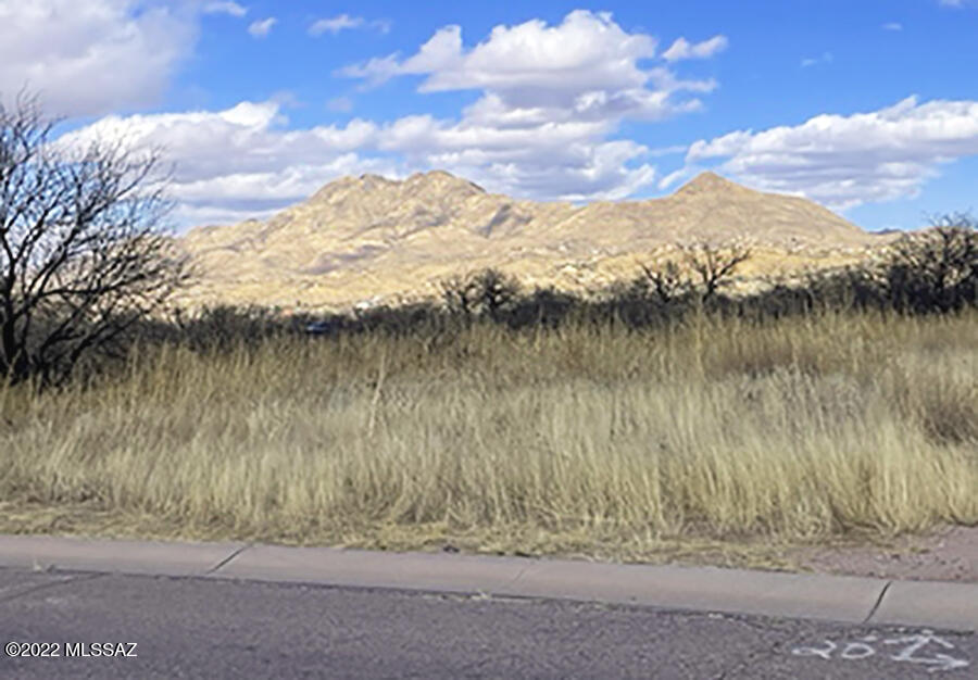 Rio Rico  Unit No 7 - Land