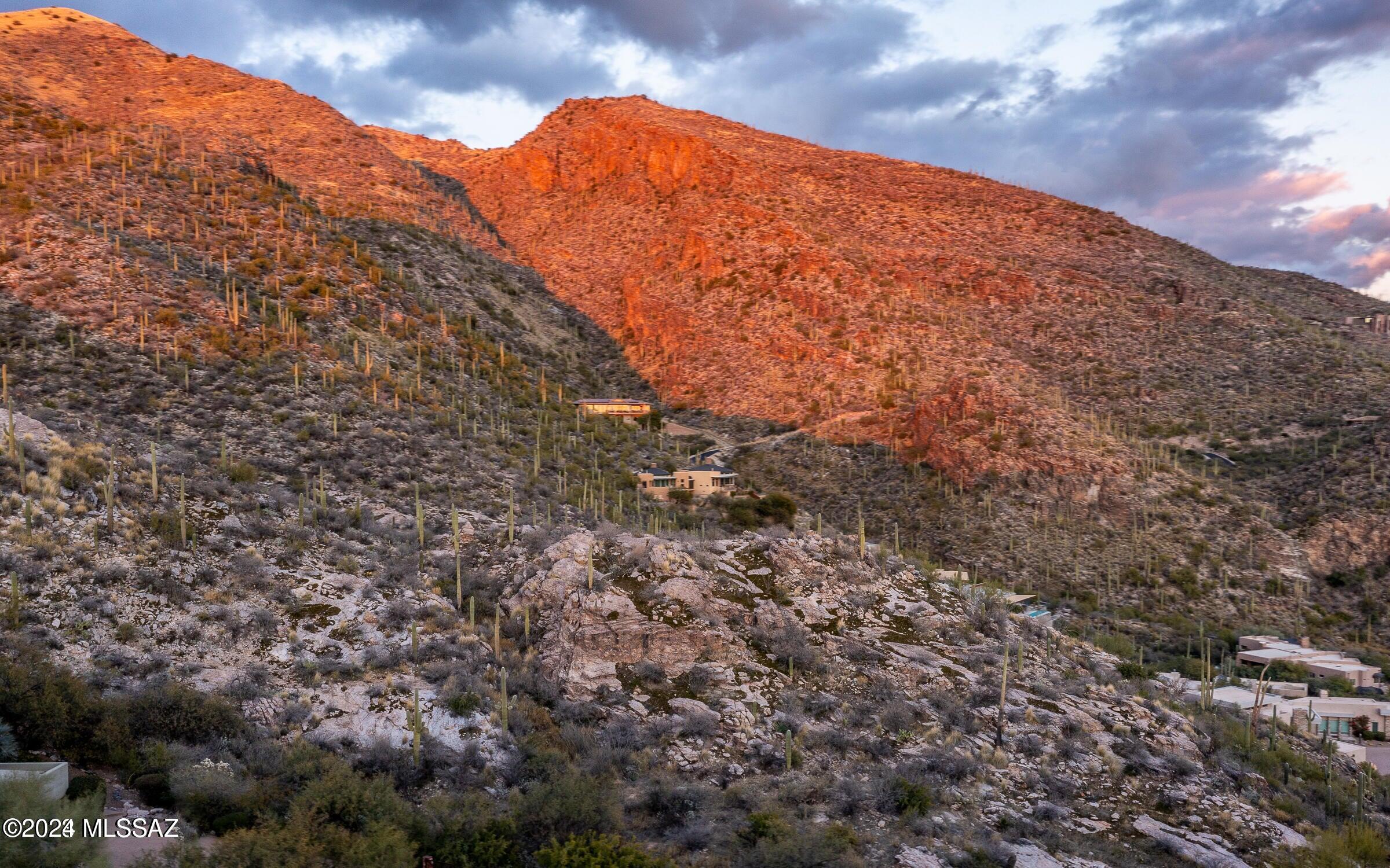 Ventana Canyon Mountain Estate (1-73) - Land