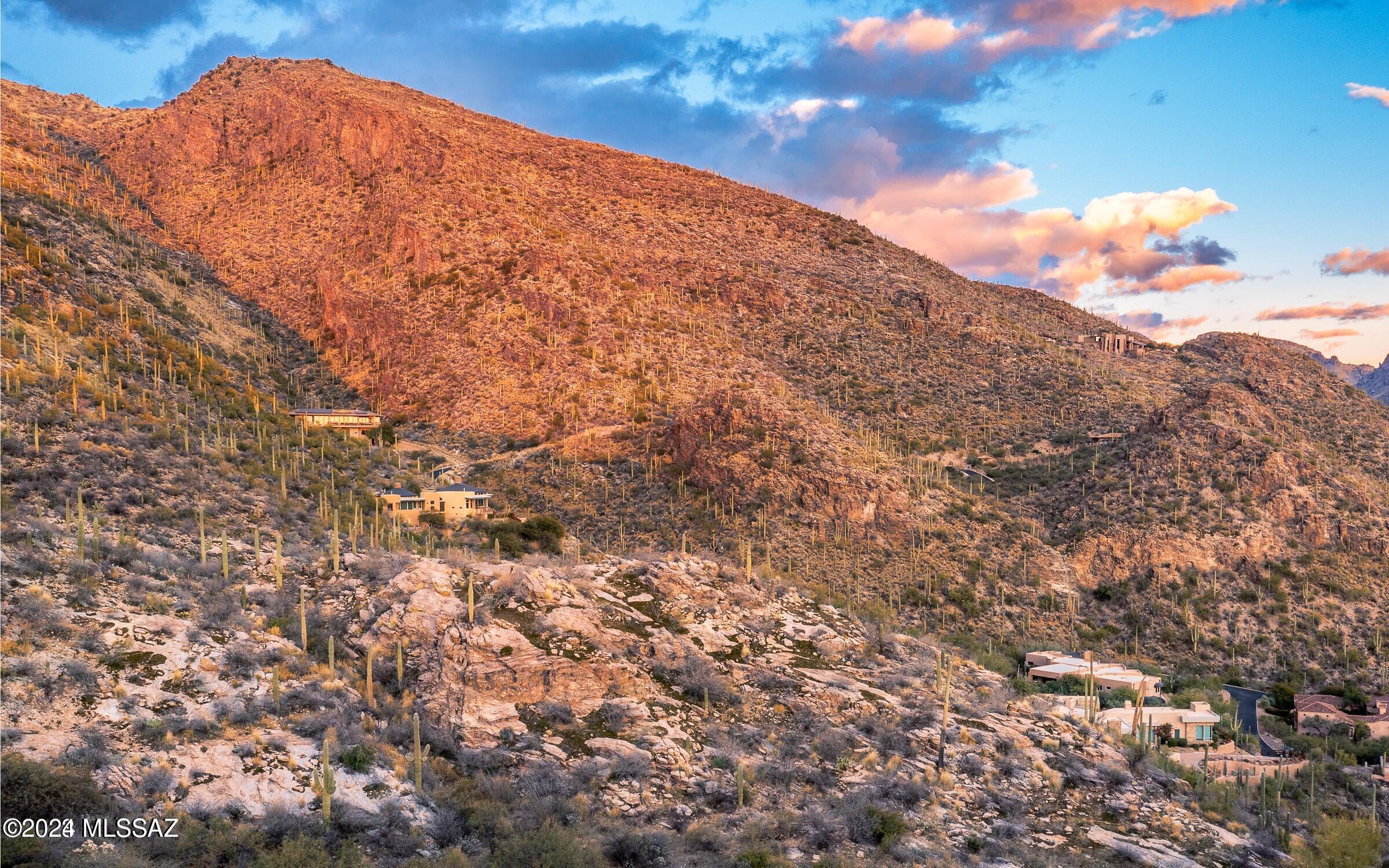 Ventana Canyon Mountain Estate (1-73) - Land