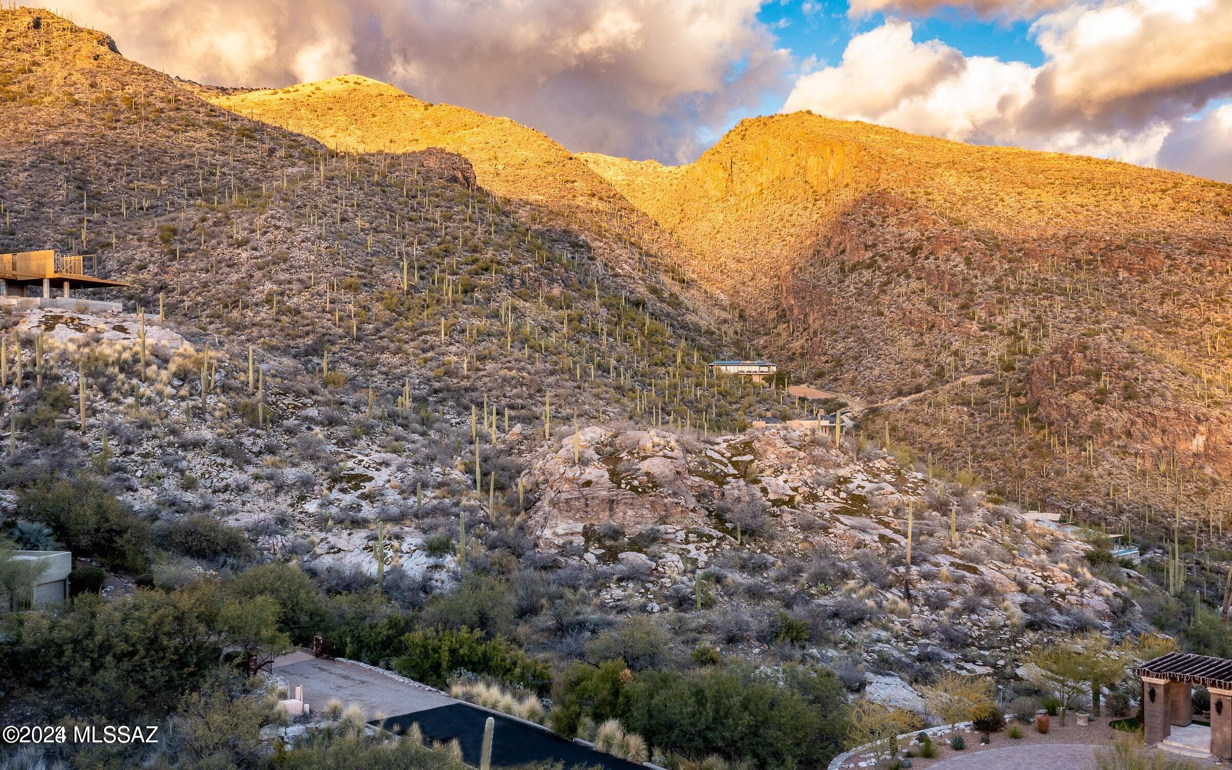 Ventana Canyon Mountain Estate (1-73) - Land