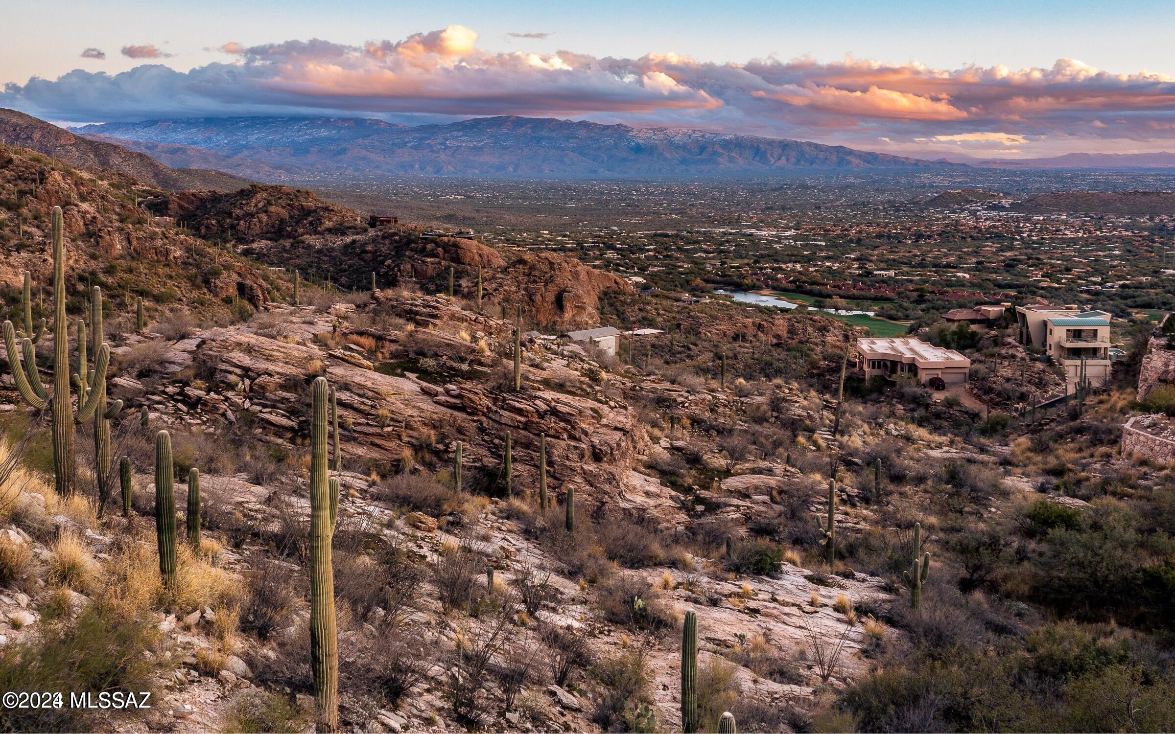 Ventana Canyon Mountain Estate (1-73) - Land
