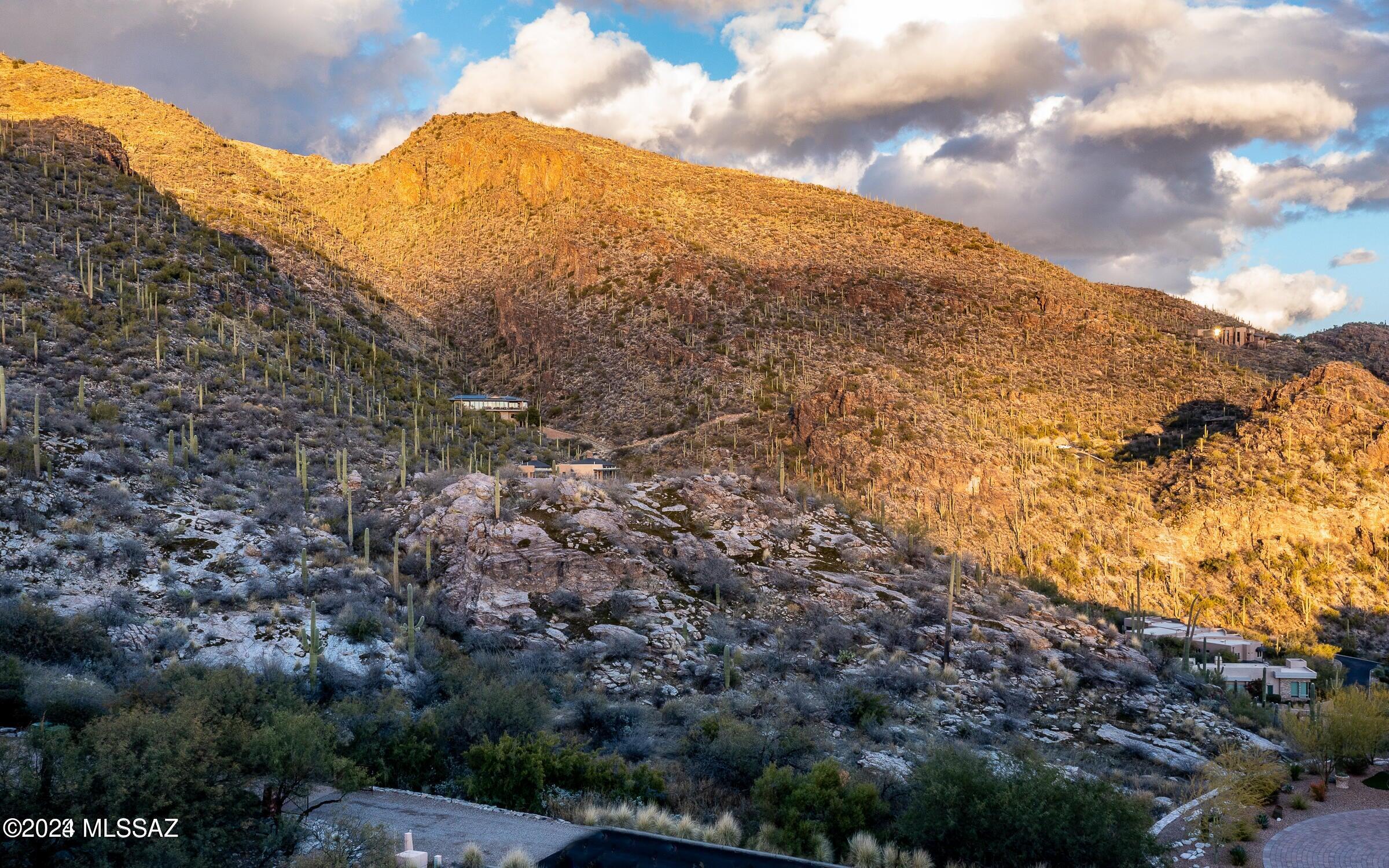 Ventana Canyon Mountain Estate (1-73) - Land