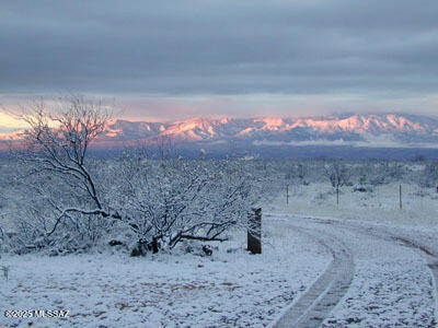 Dragoon Mountain Ranch - Land