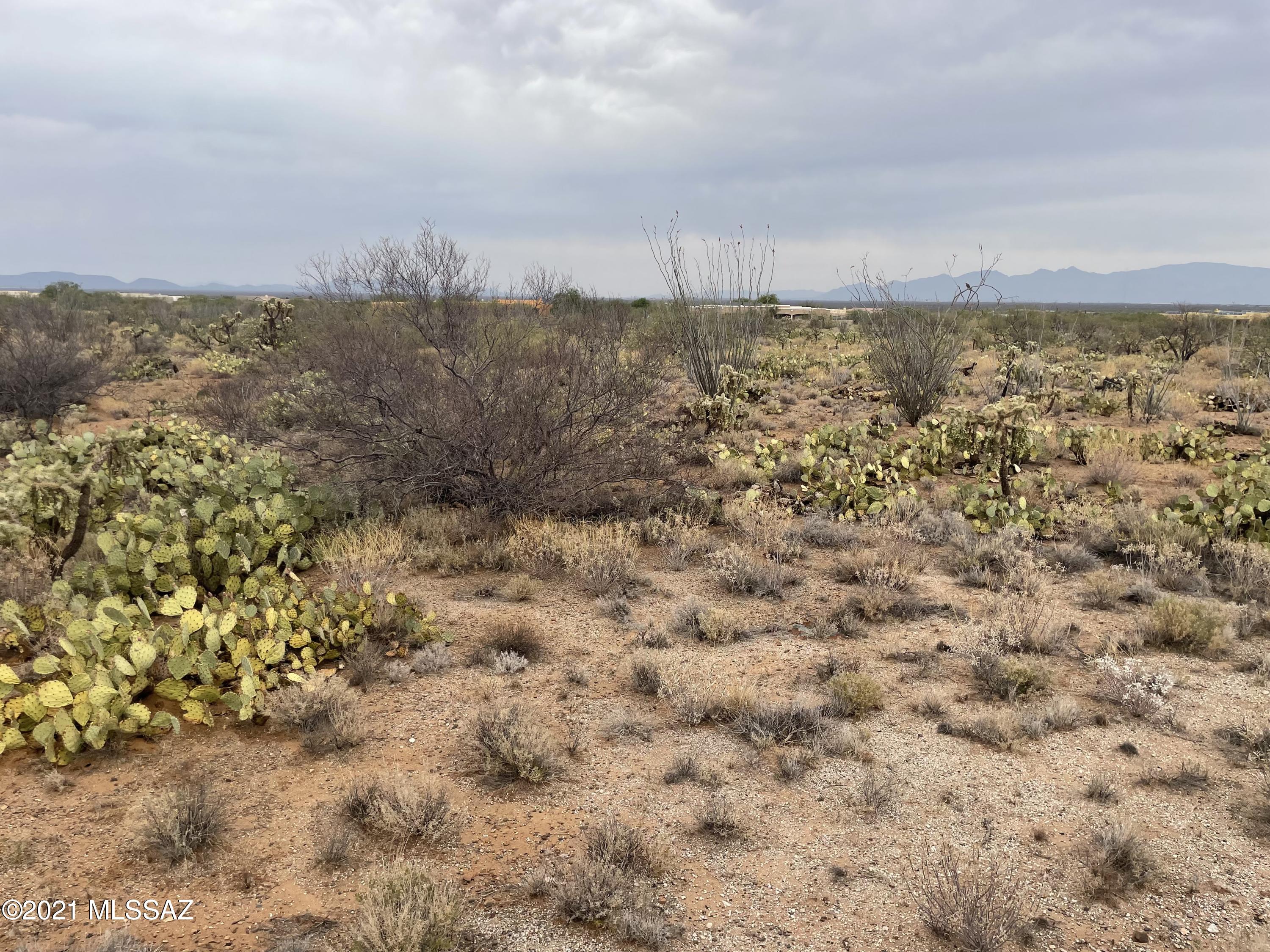 Sycamore Springs (1-64) - Land