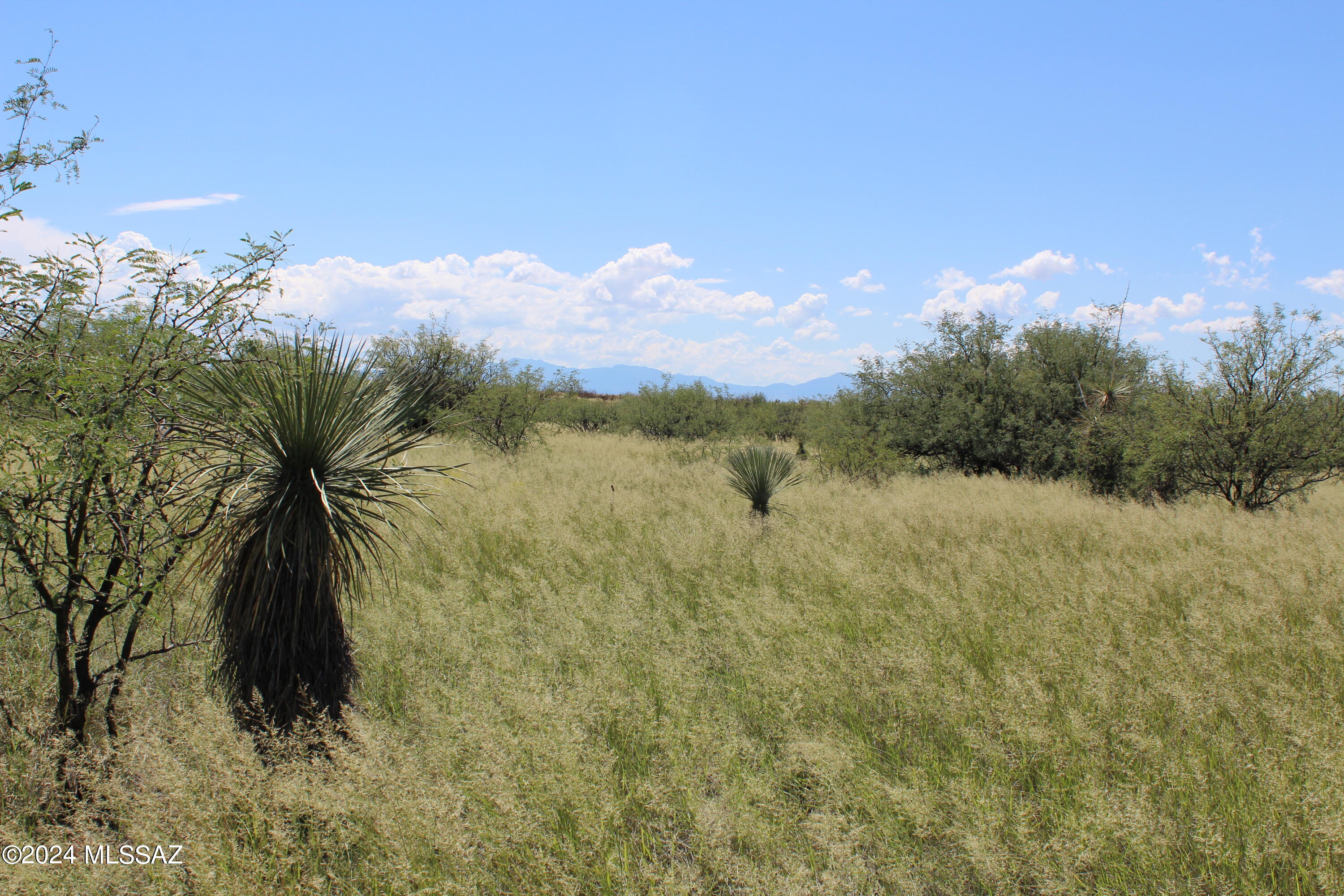 Dragoon Mountain Ranch - Land