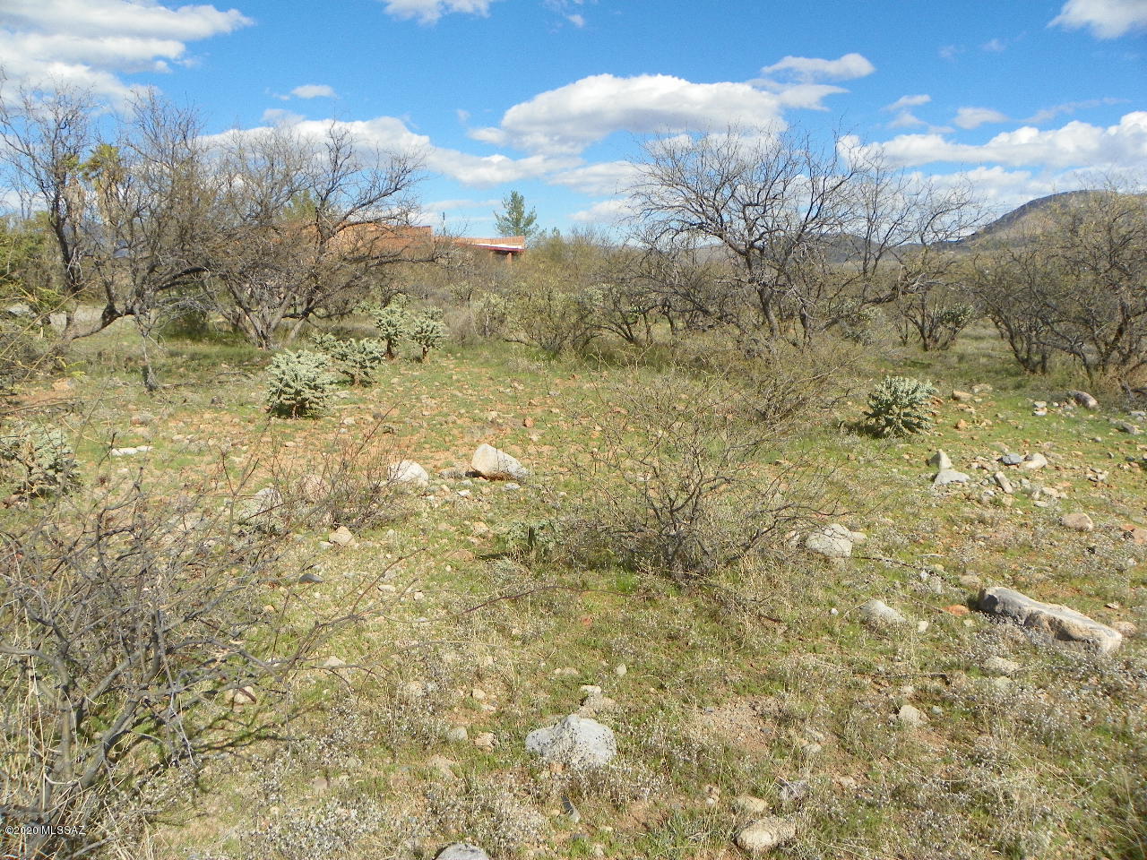Rio Rico Estates 16 - Land