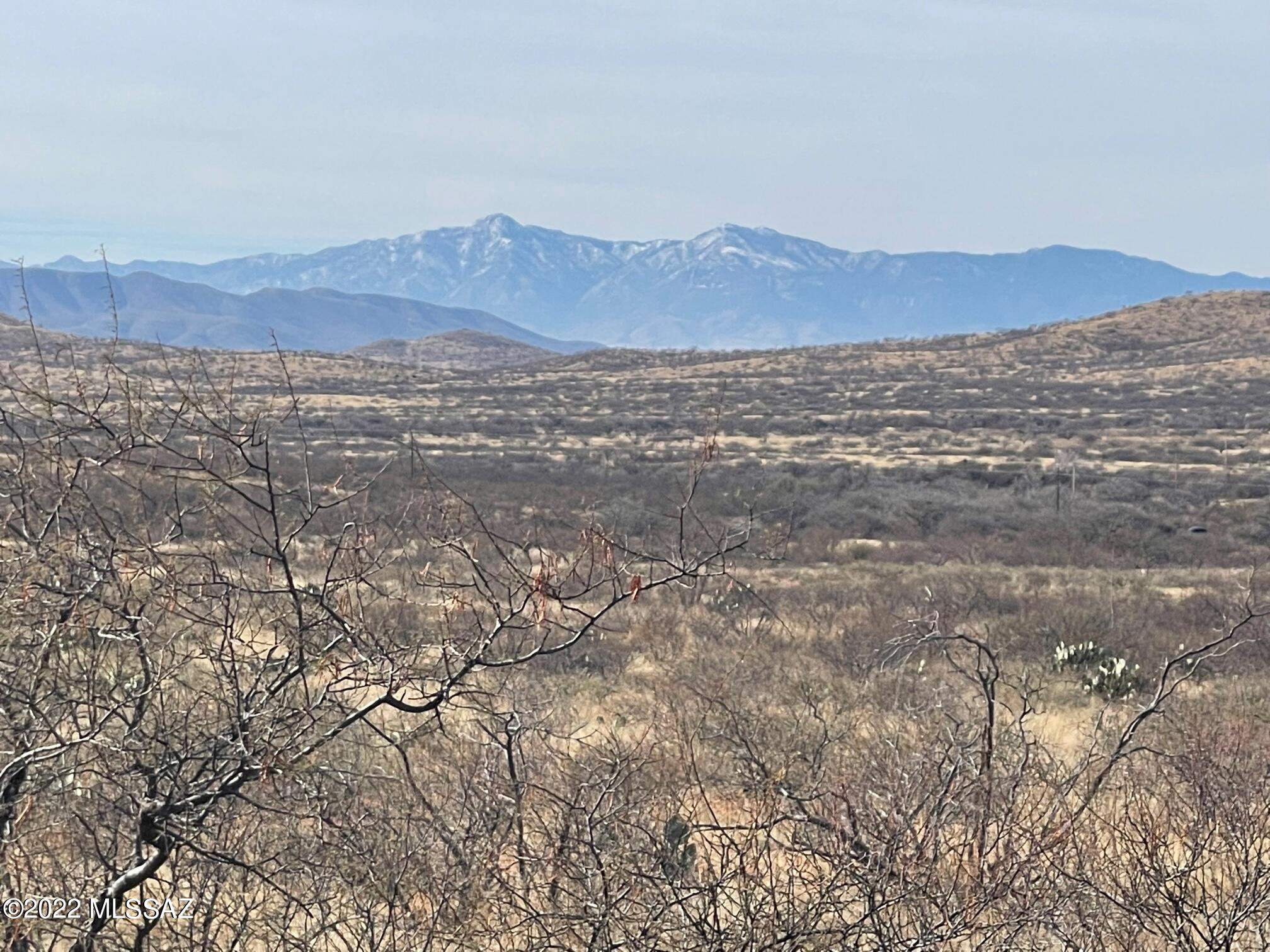 SCENIC mountain View lot on 40 Acres In Silver Spur Ranch near Historical Tombstone, AZ.  Build your dream home. This lot is mostly flat with some rolling hills. The property is located about a  25 minute drive from Elfrida, AZ and Tombstone. The property sits at 4000 + feet MSL and enjoys a mild climate year around. The property is located within short drives to Bisbee, Benson, Sierra Vista, Hereford and Willcox. Tucson is about an hour and half drive. Enjoy seclusion, scenery and fresh air.