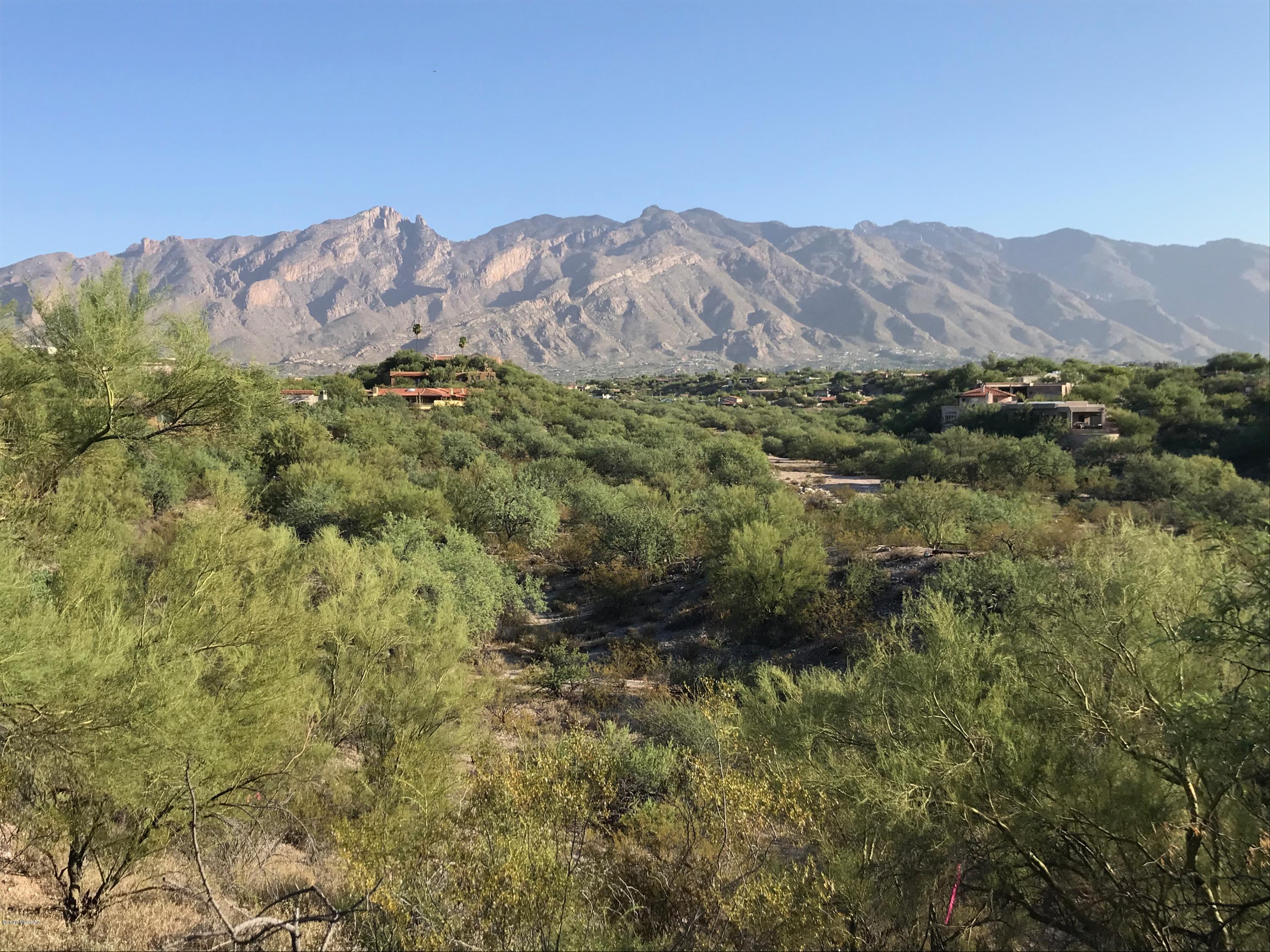 Catalina Foothills Est. NO. 10 (73-90, 119, 121, 123, 127-146) - Land