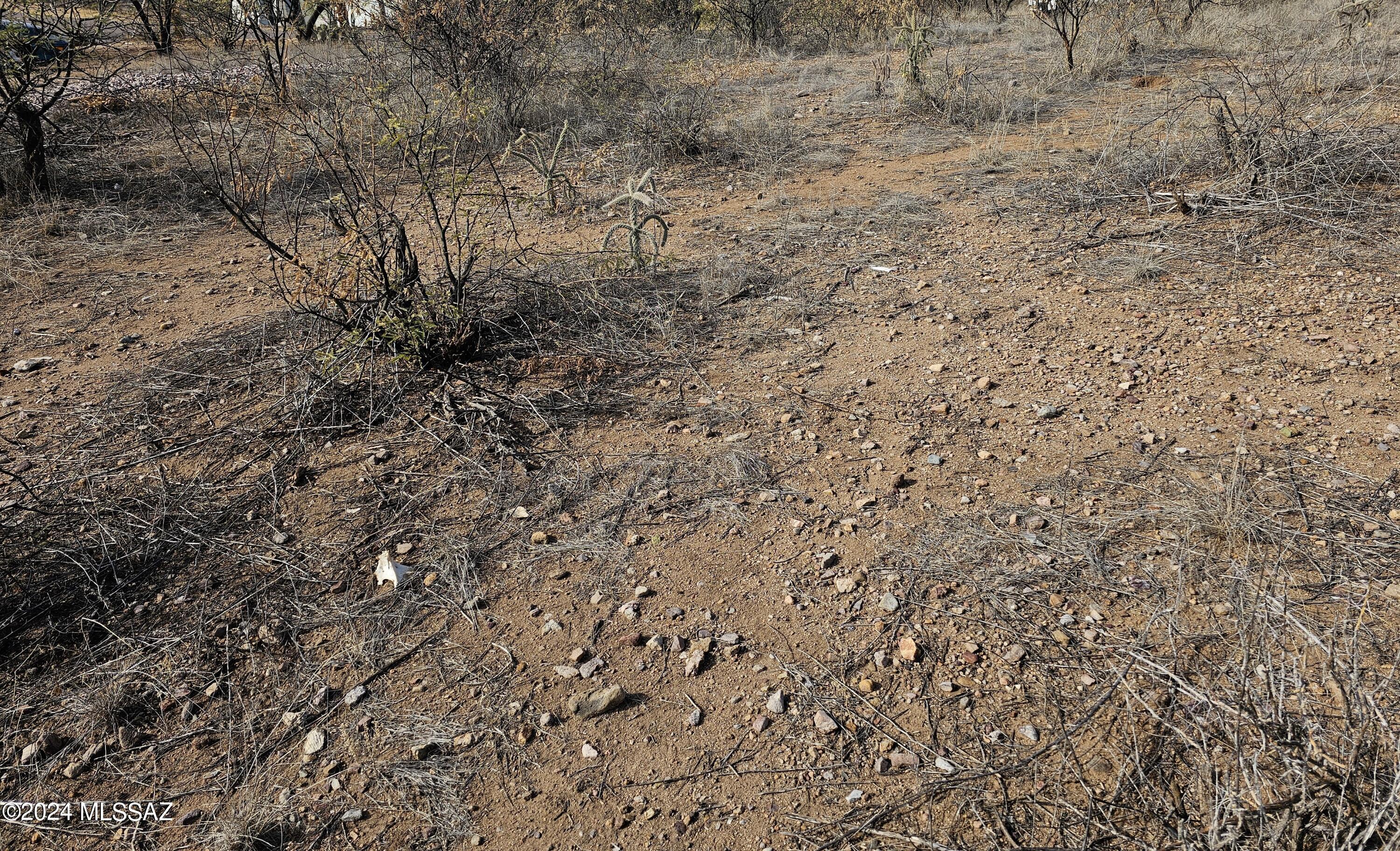Rio Rico Ranchettes 11 - Land