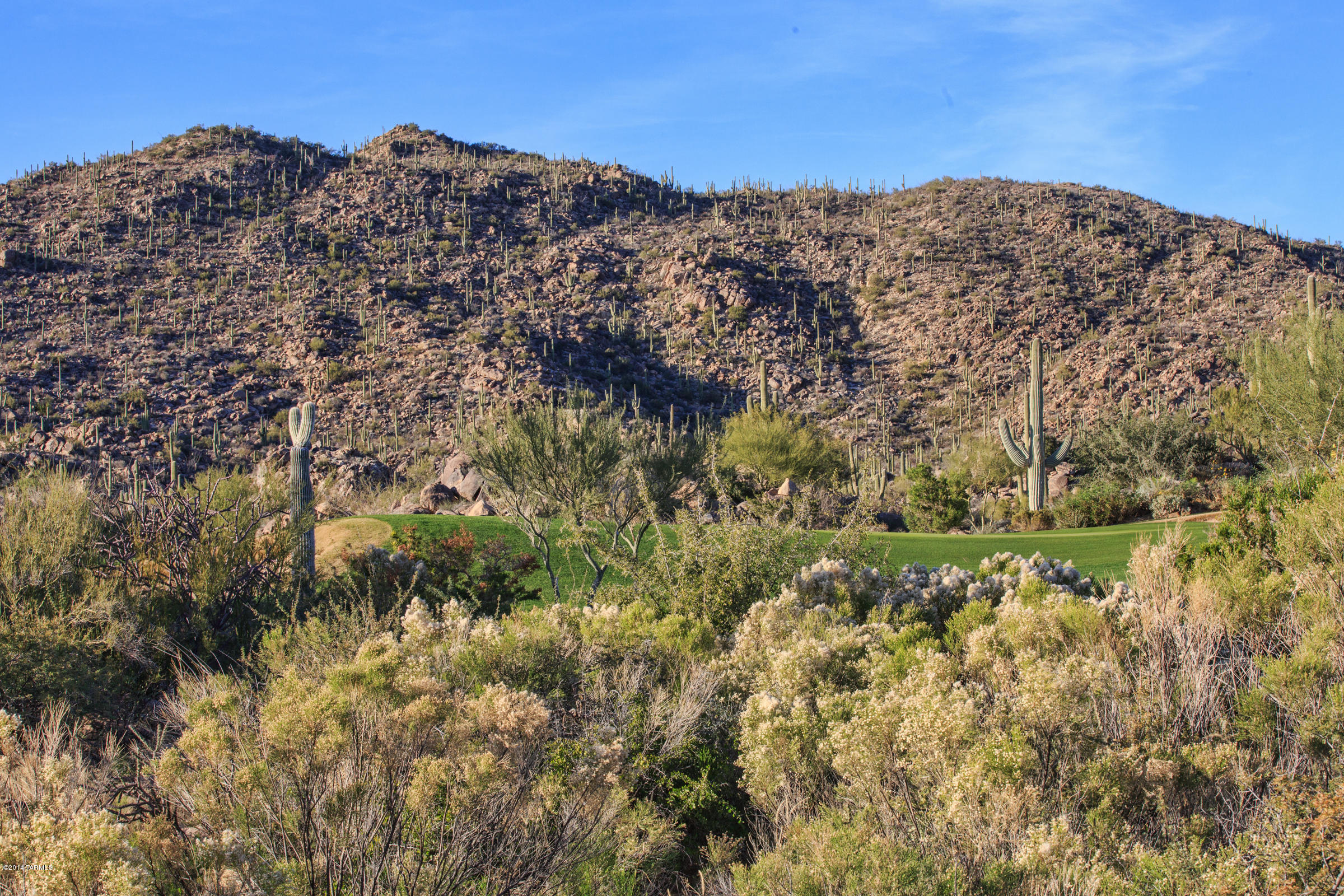 Stone Canyon II - Land