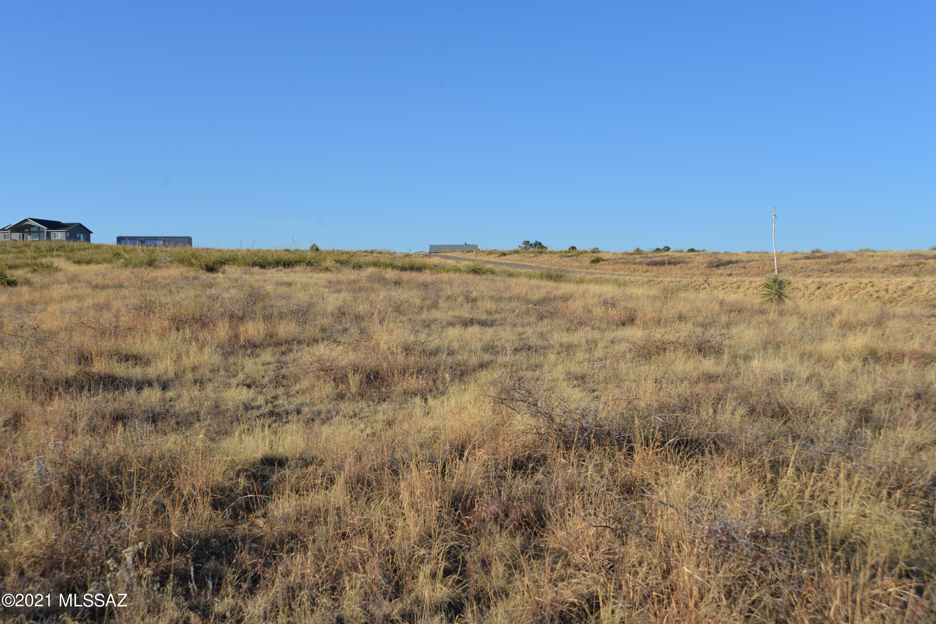 Ranch Oasis - Land