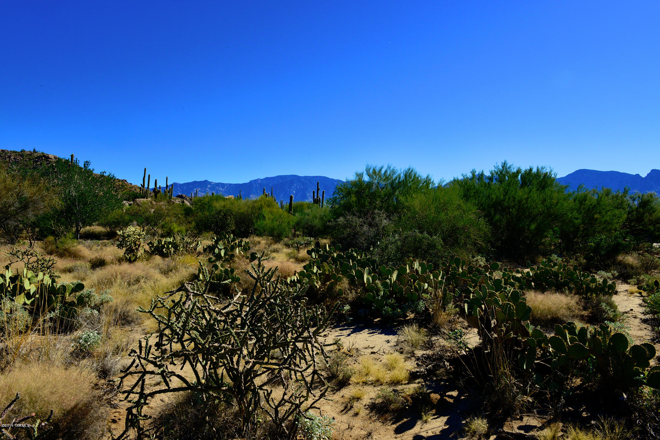 Stone Canyon I - Land
