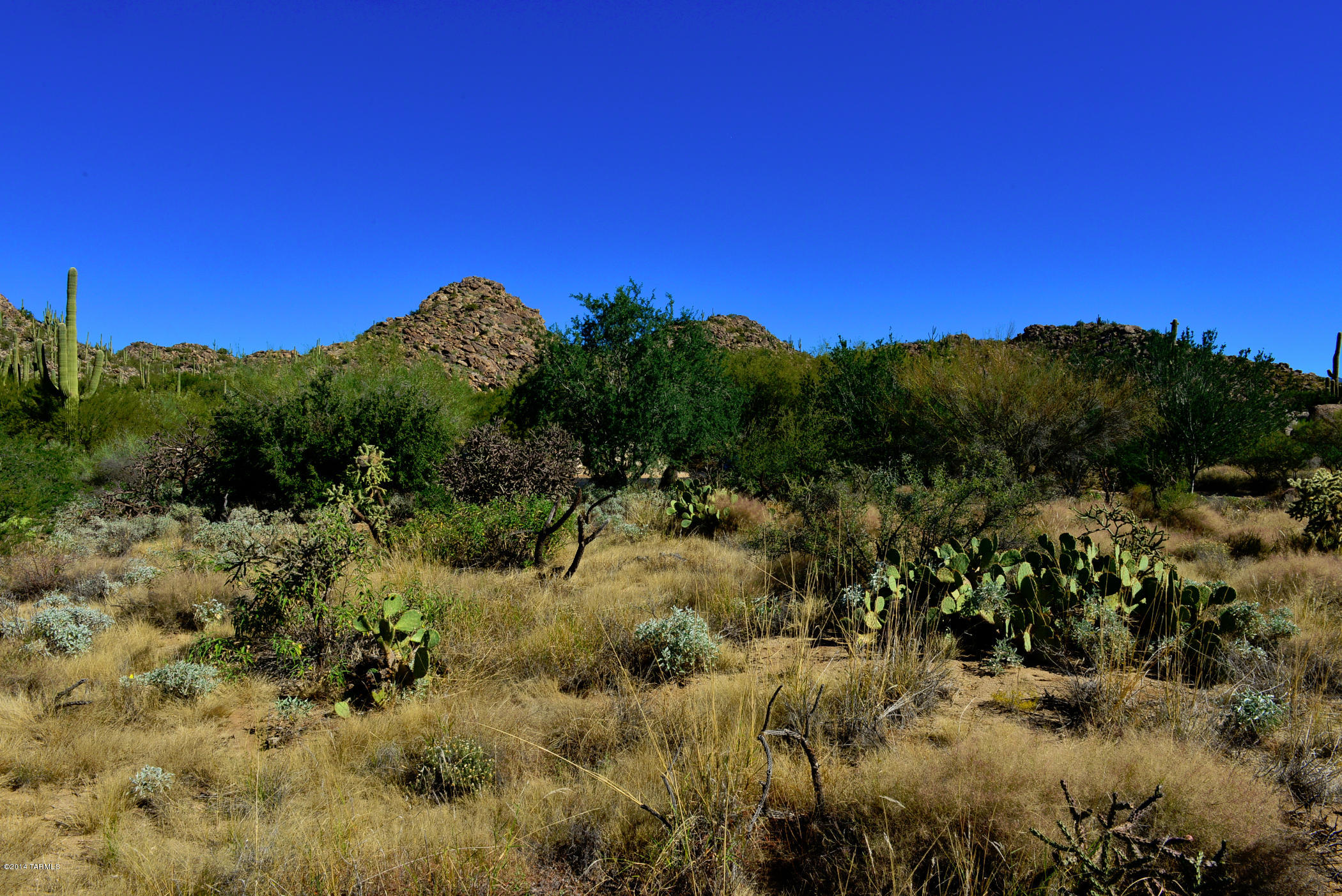 Stone Canyon I - Land