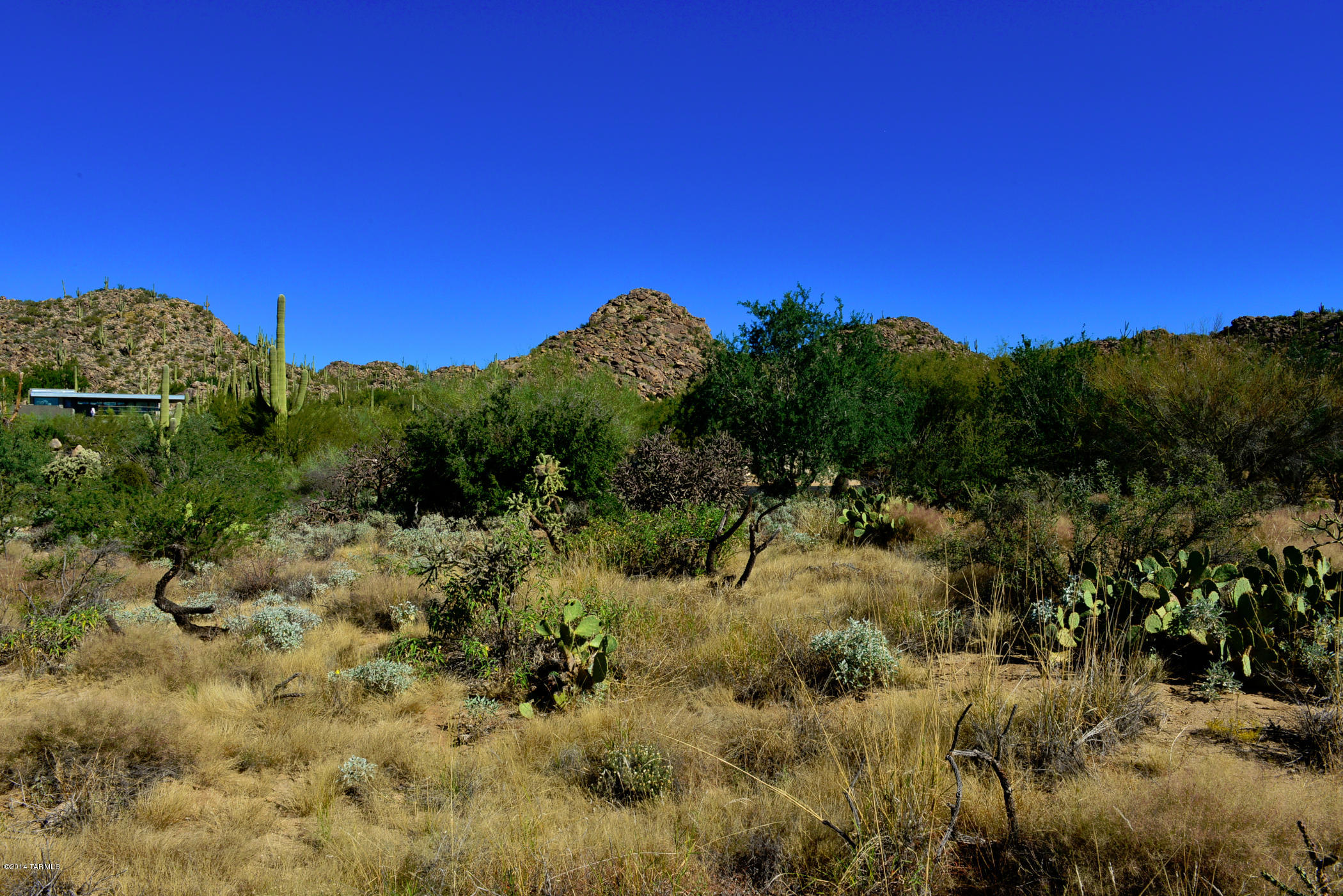 Stone Canyon I - Land