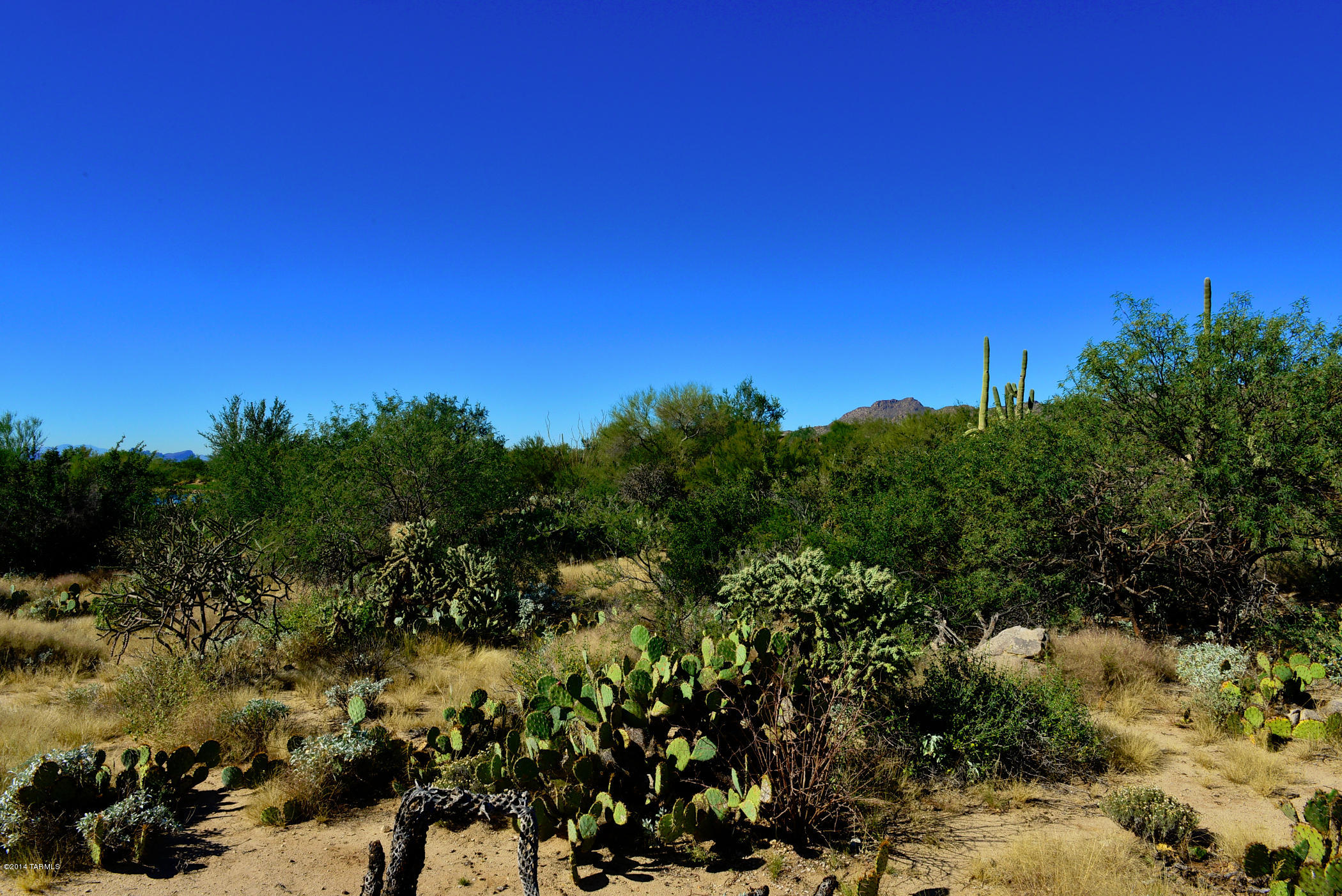 Stone Canyon I - Land
