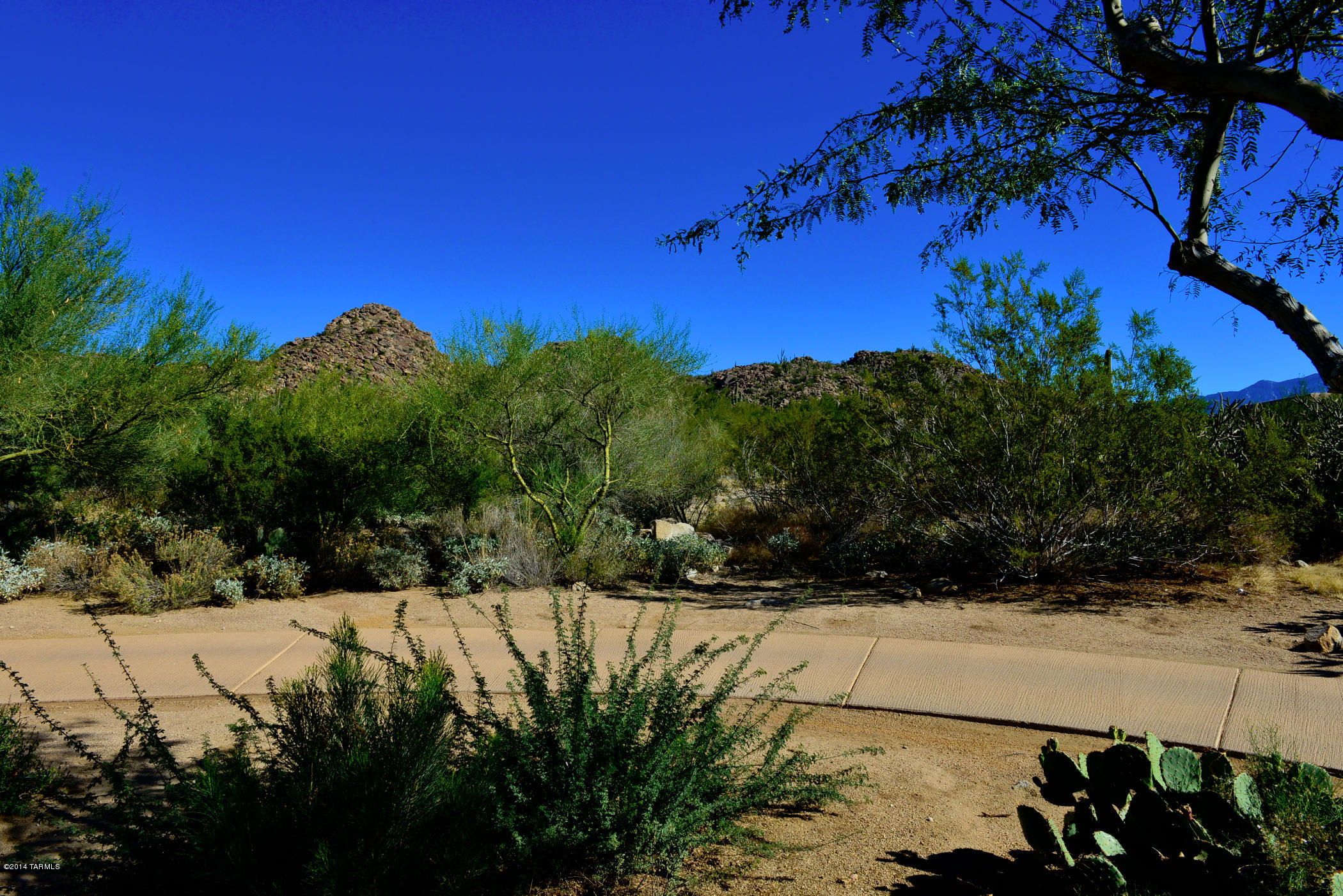 Stone Canyon I - Land