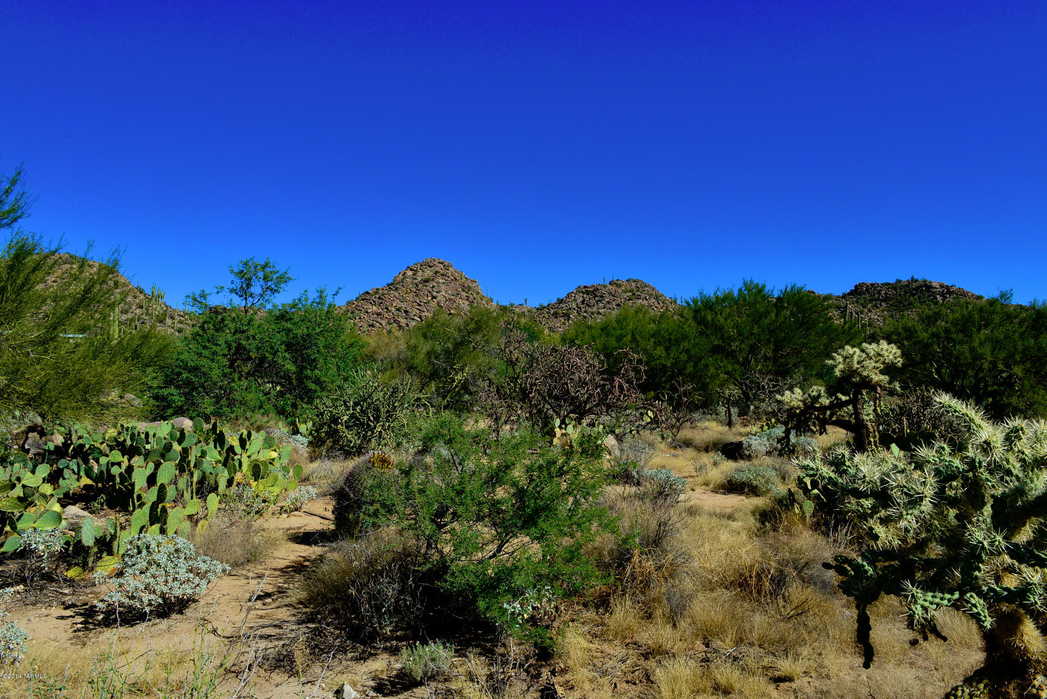 Stone Canyon I - Land