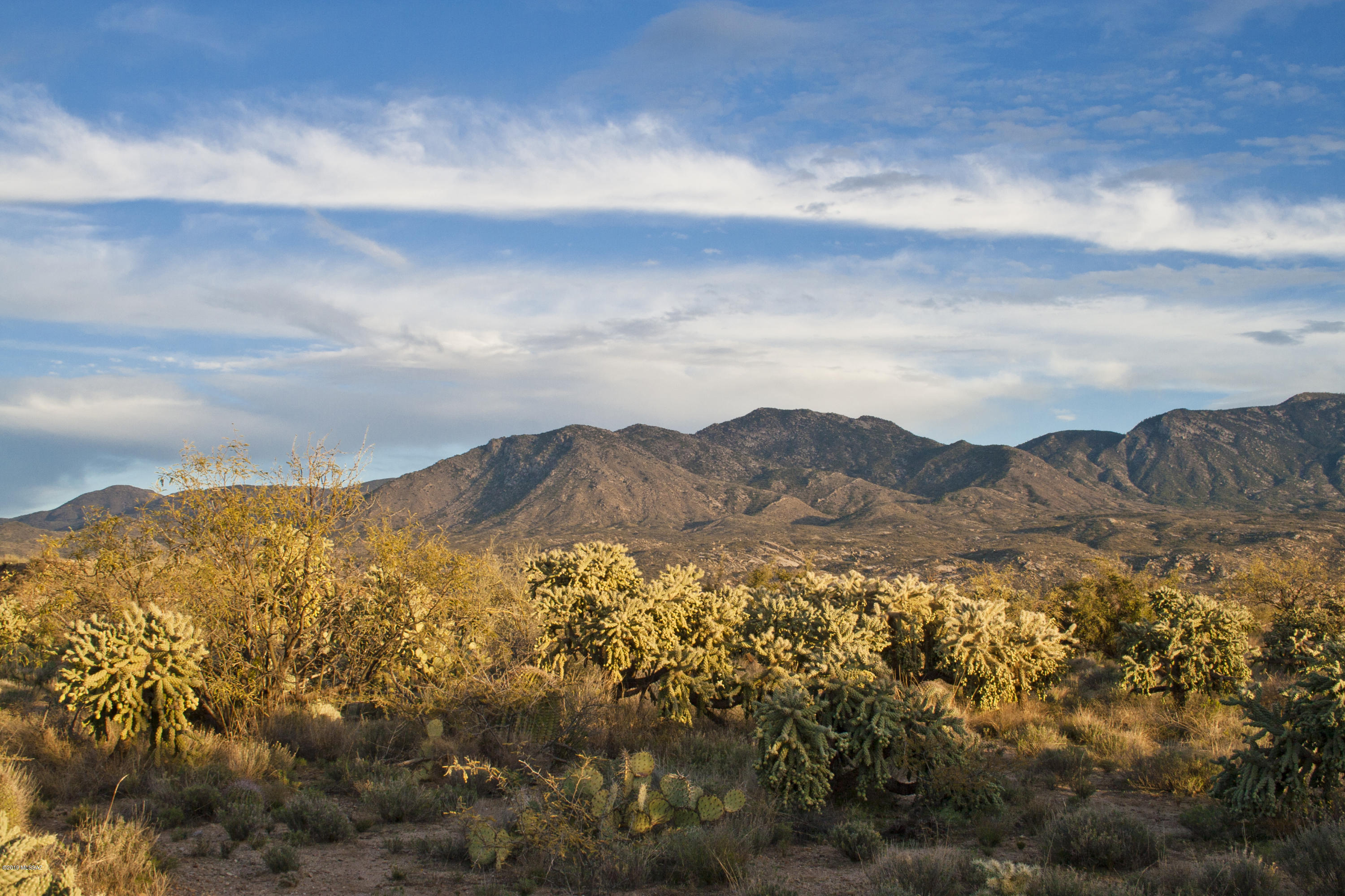 Located off only a short section of dirt road, the east facing rear yard orientation allows for gorgeous vistas, and the wash behind the property ensures privacy & view corridors. Trico electric now at the lot line. NO HOA, yet nearby to Saddlebrooke and all of the city amenities. With the vast majority of the lot being extremely flat, this property will be a cinch to build on. This peaceful, rural feeling lot provides an unobstructed view of the majestic Catalina Mountains. Design your custom home to fit this exceptional lot. No CC&Rs and only very minor deed restrictions.