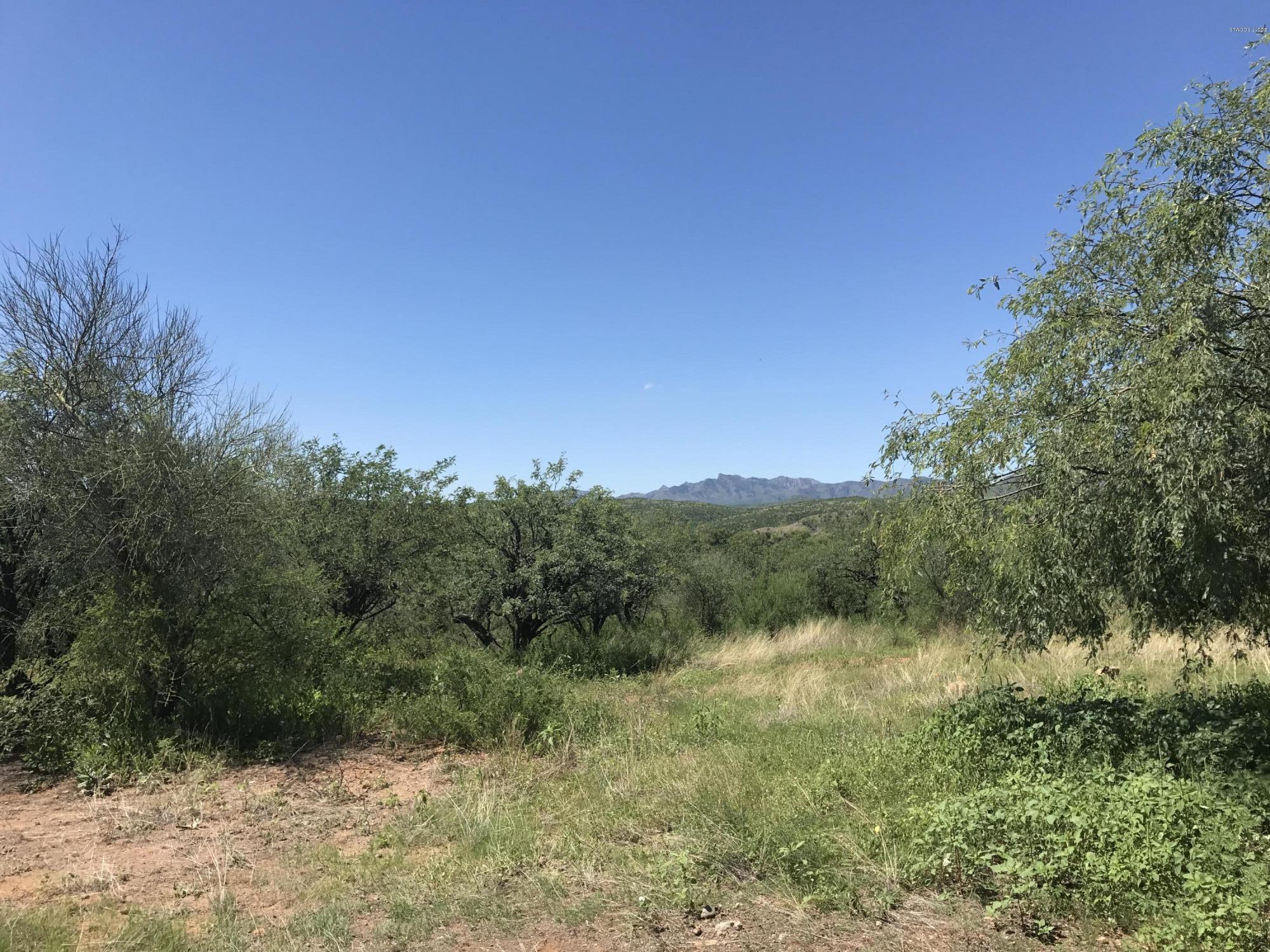 Rio Rico Villas 14 - Residential