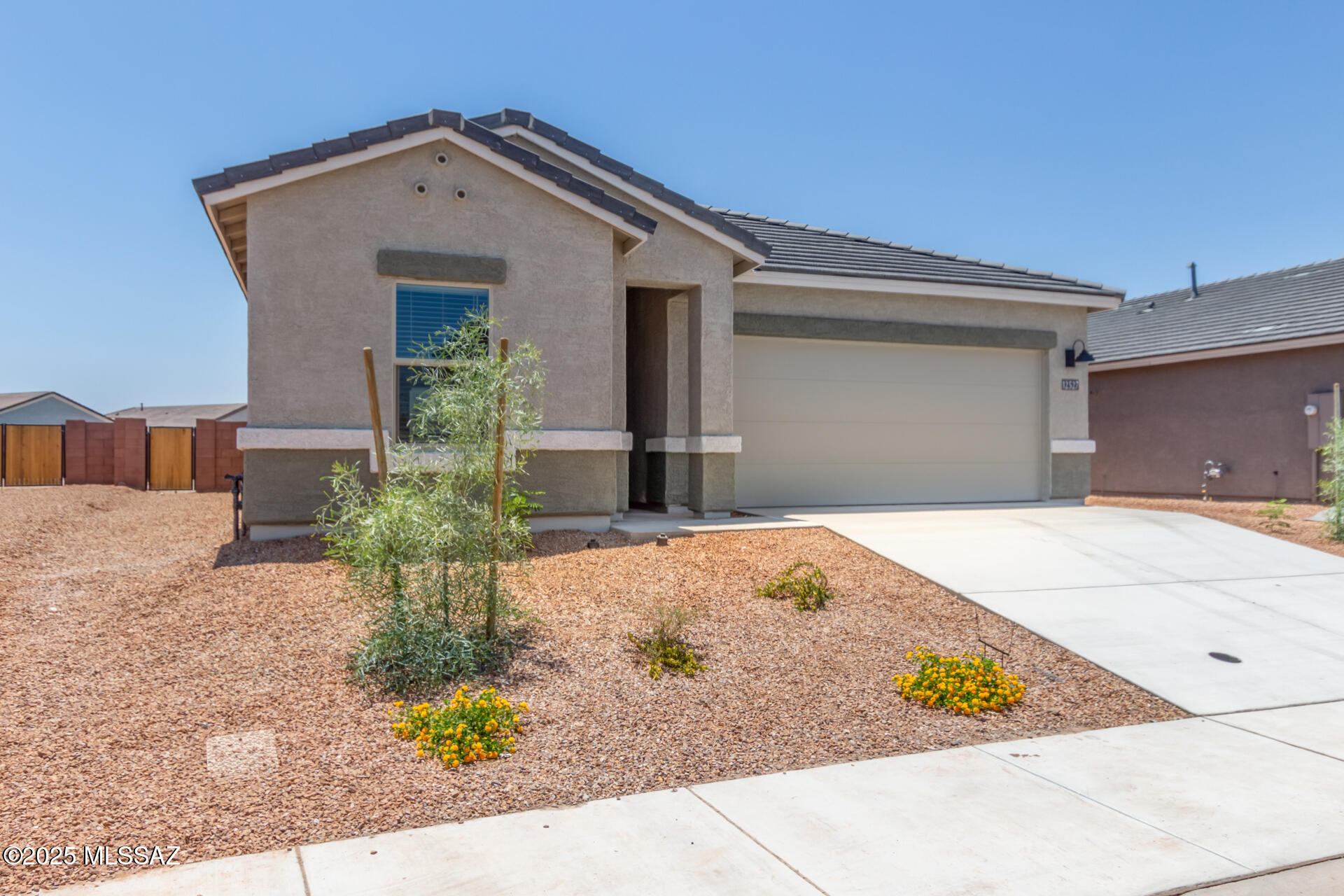 Saguaro Bloom SQ20180540069 - Residential