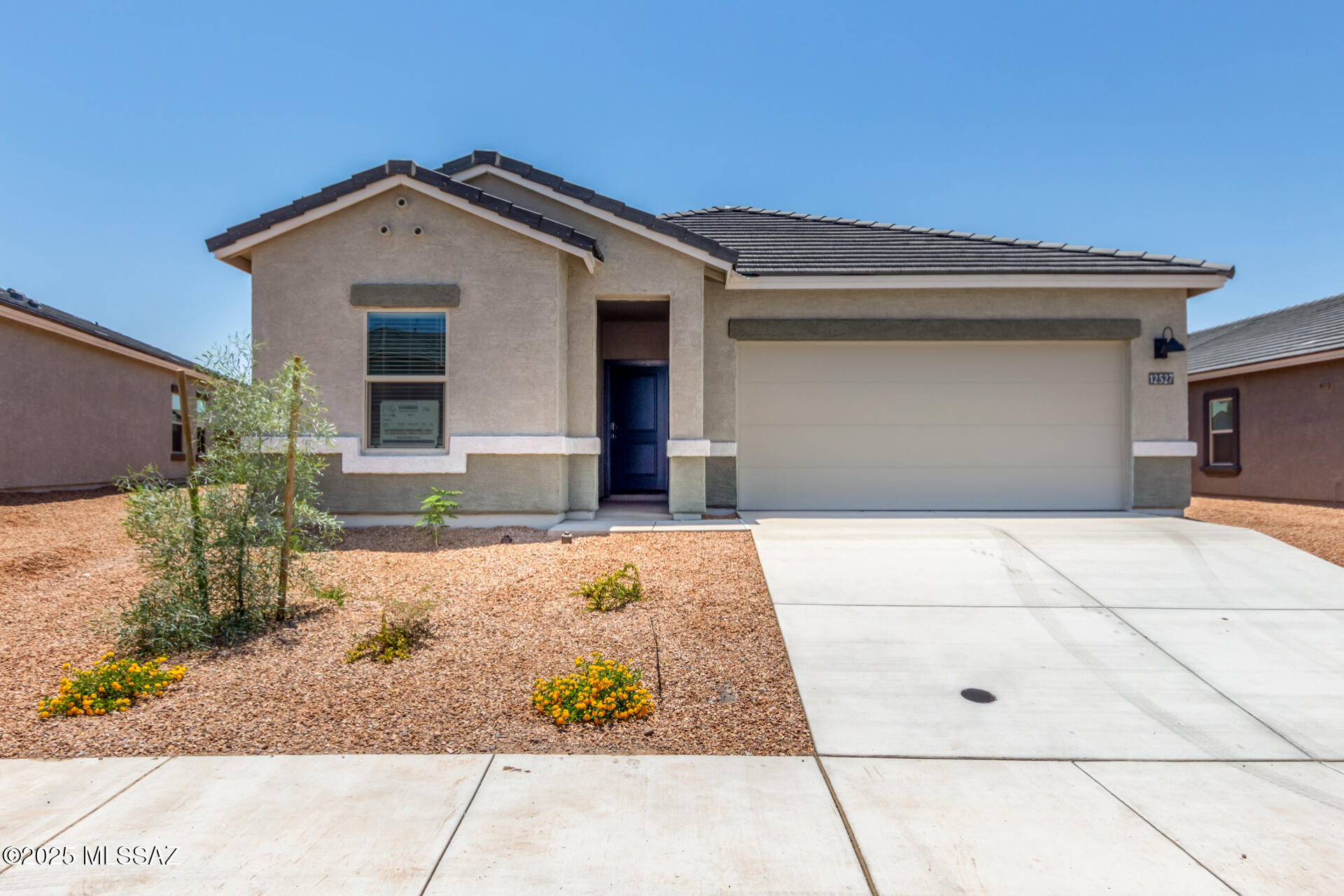 Saguaro Bloom SQ20180540069 - Residential