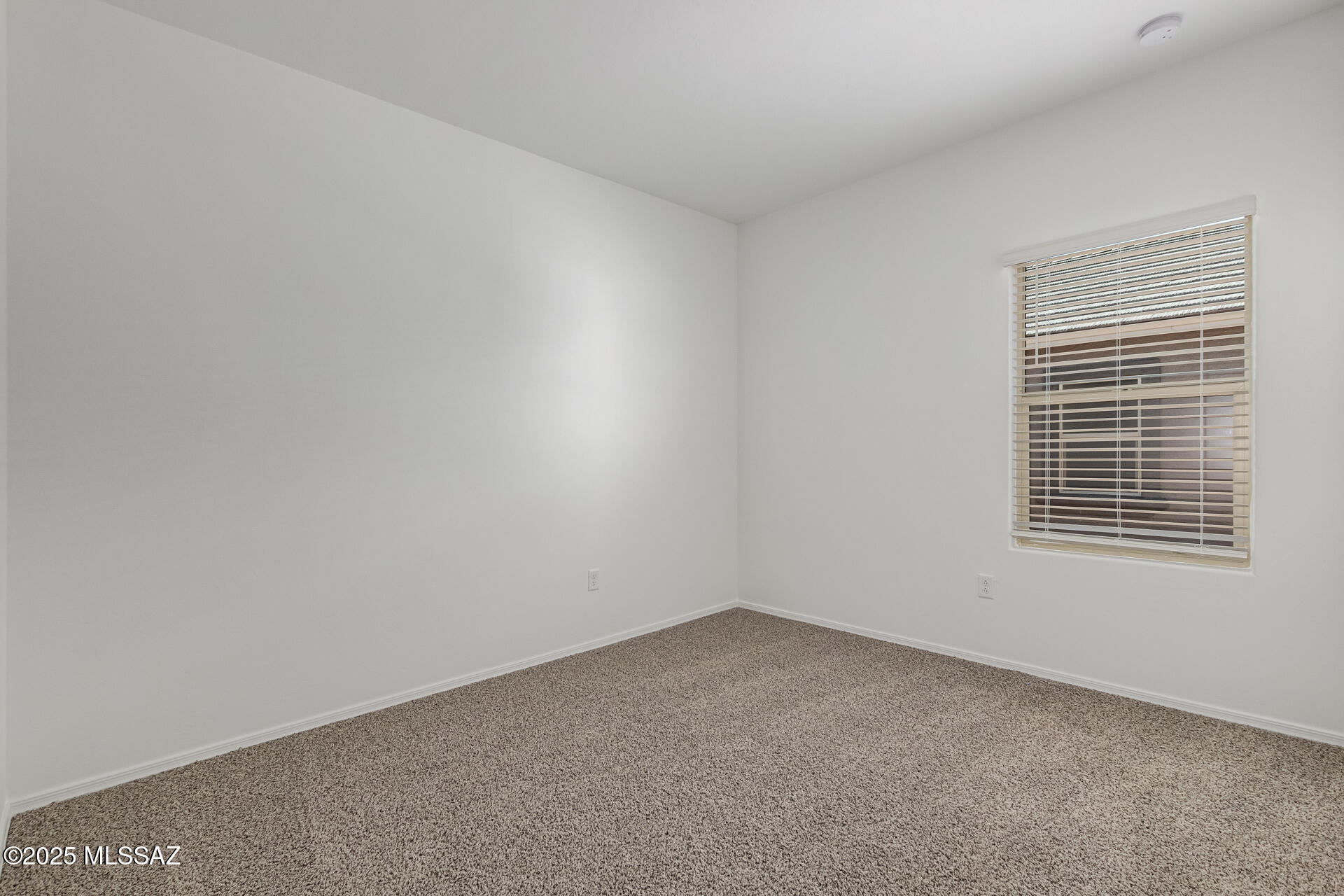 Saguaro Bloom SQ20180540069 - Residential